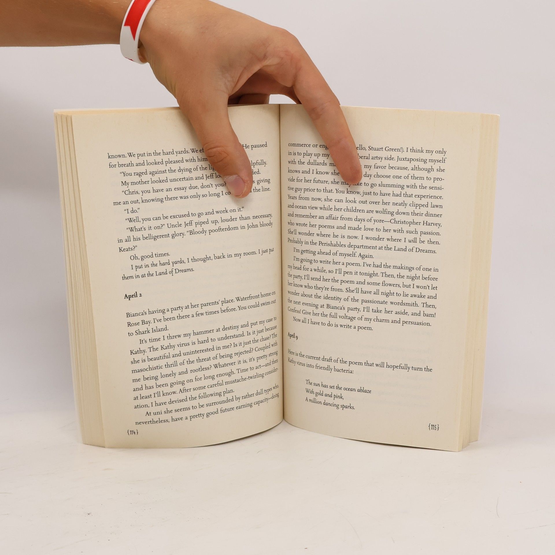 Laura Buzo Love and Other Perishable Items