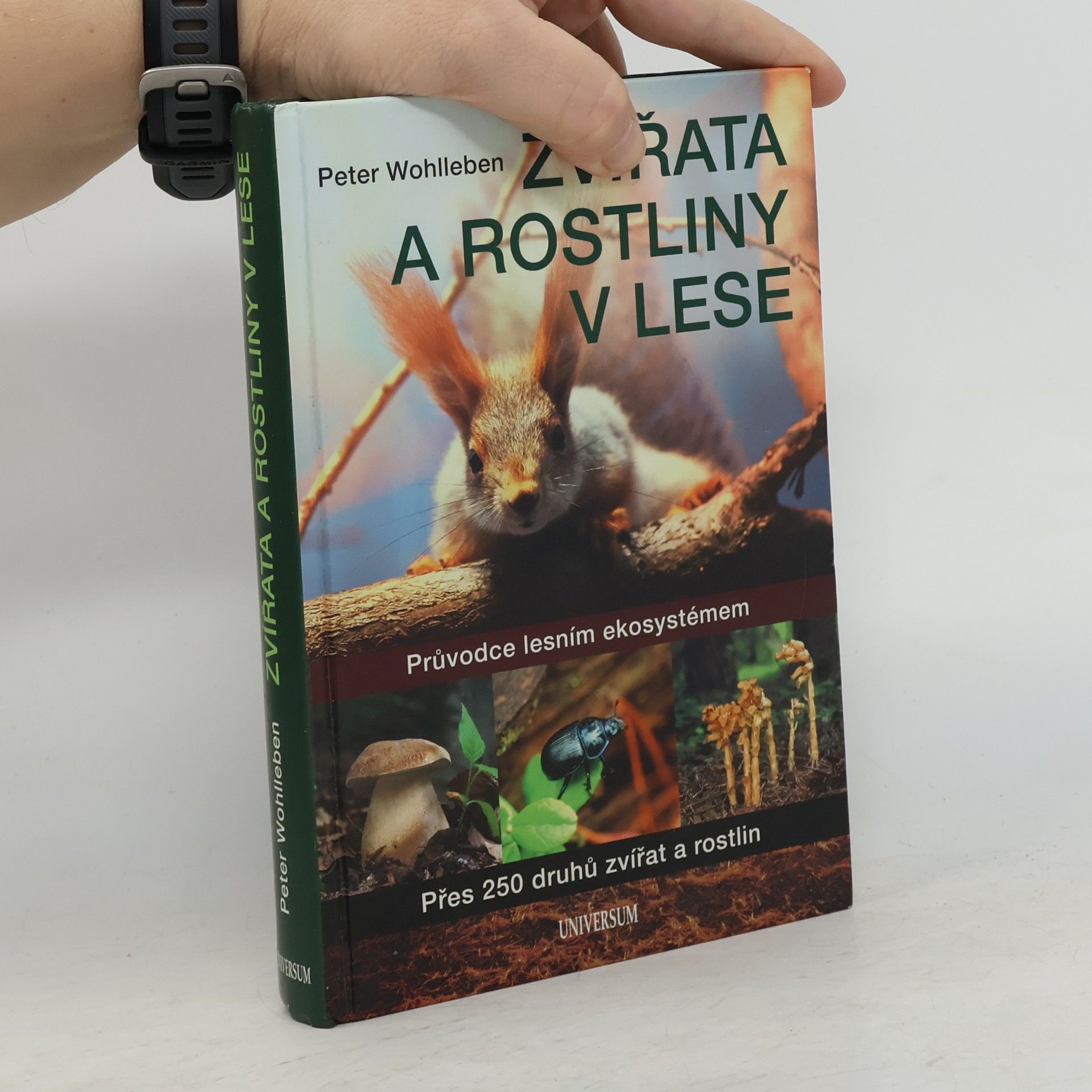 Peter Wohlleben Zvířata a rostliny v lese : průvodce lesním ekosystémem : přes 250 druhů zvířat a rostlin