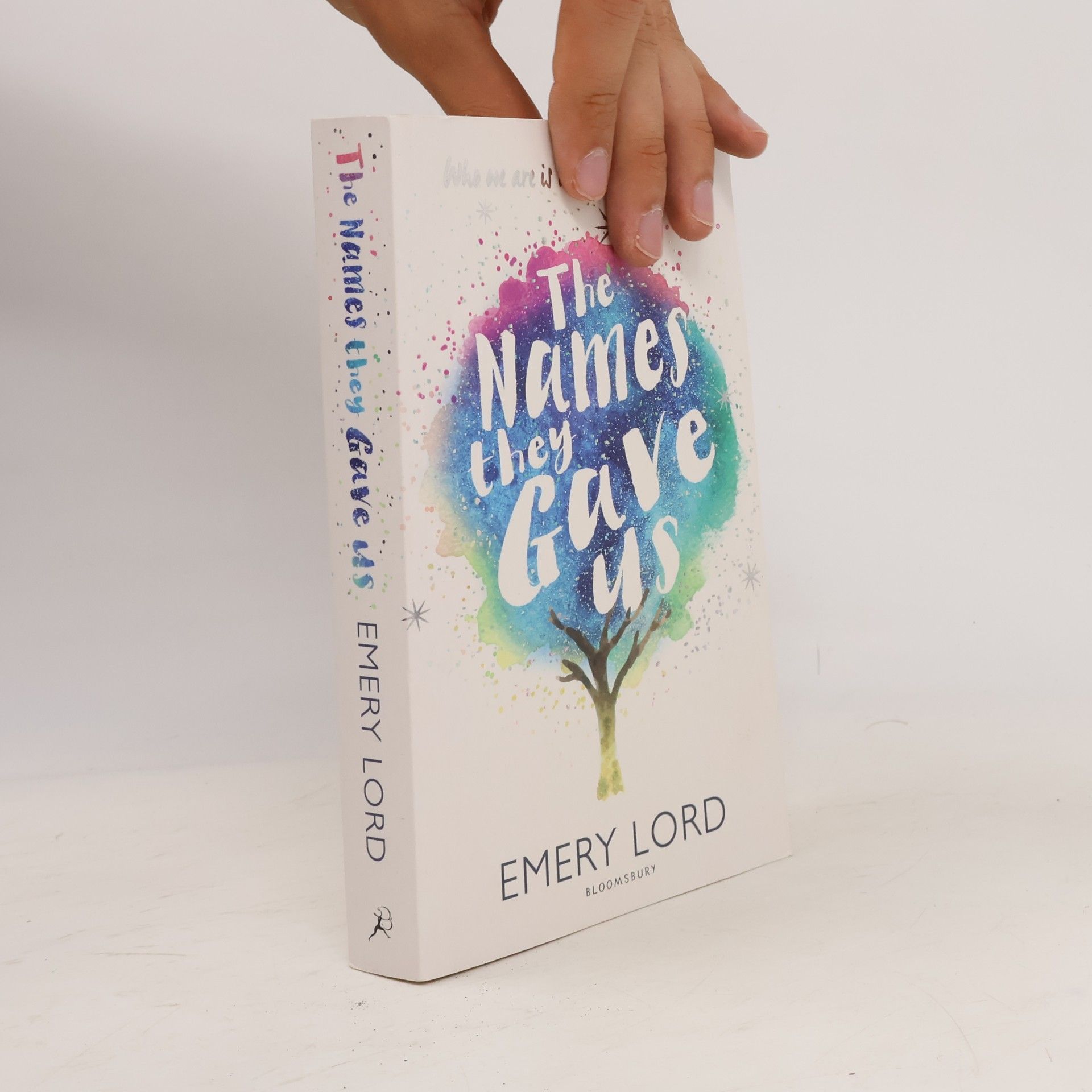 Emery Lord The name they gave us