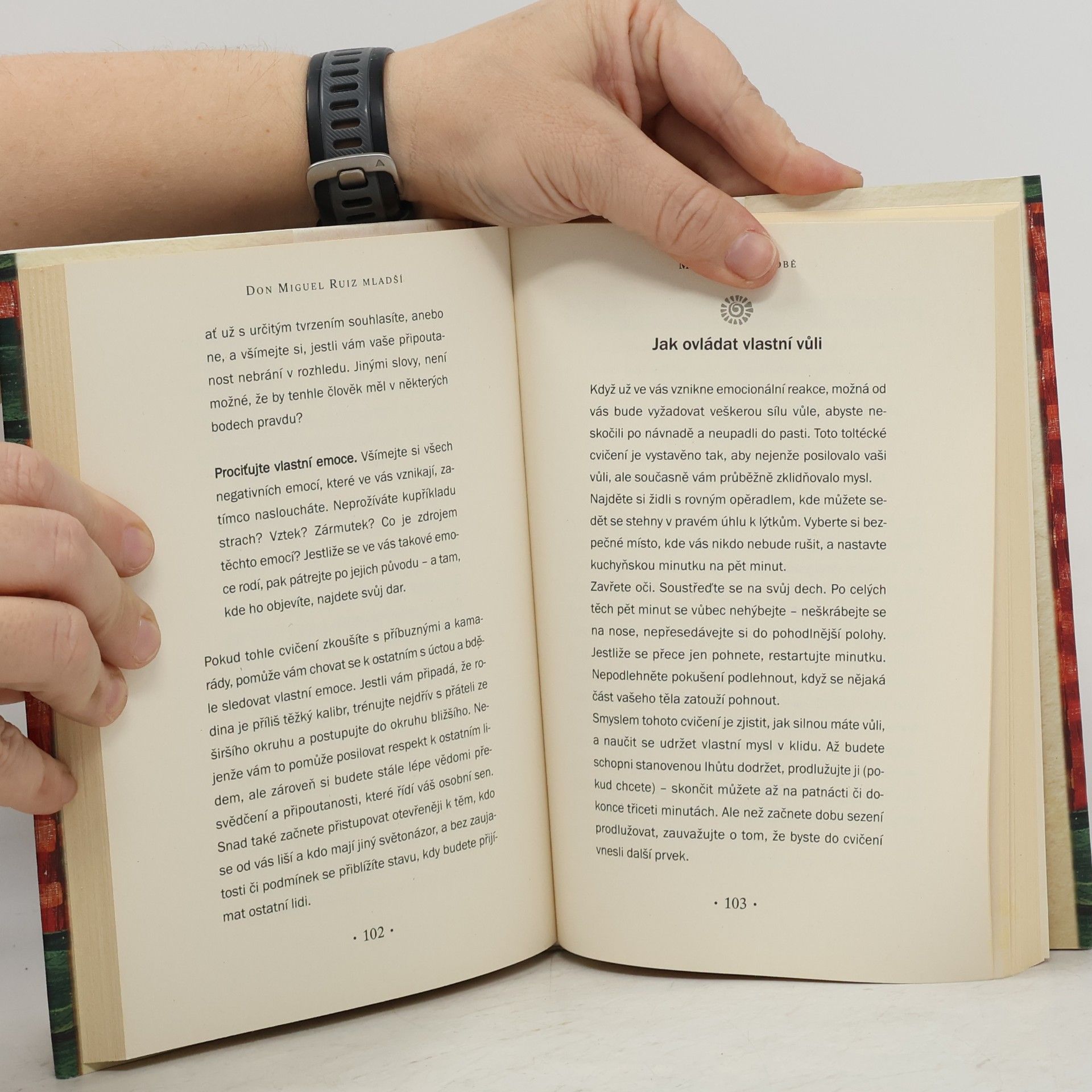 Don Miguel Ruiz Mistrem sám sobě. Toltécký průvodce po osobní svobodě