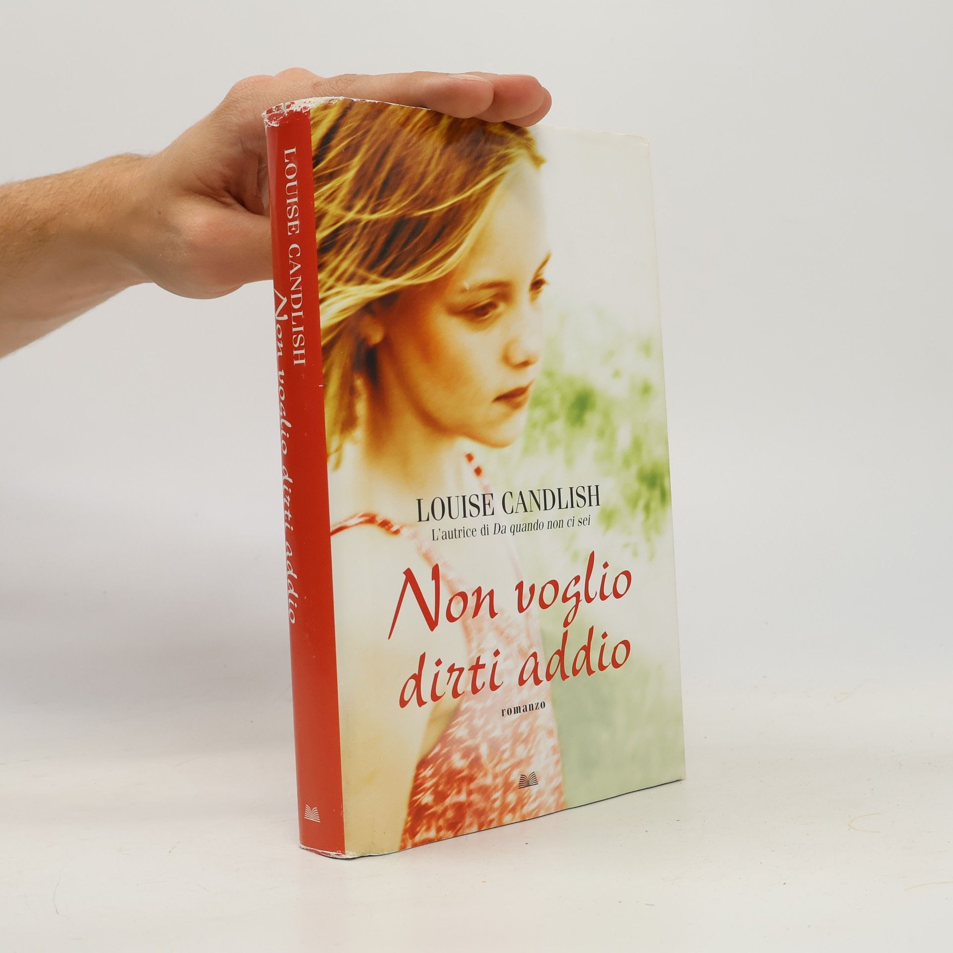 Non voglio dirti addio