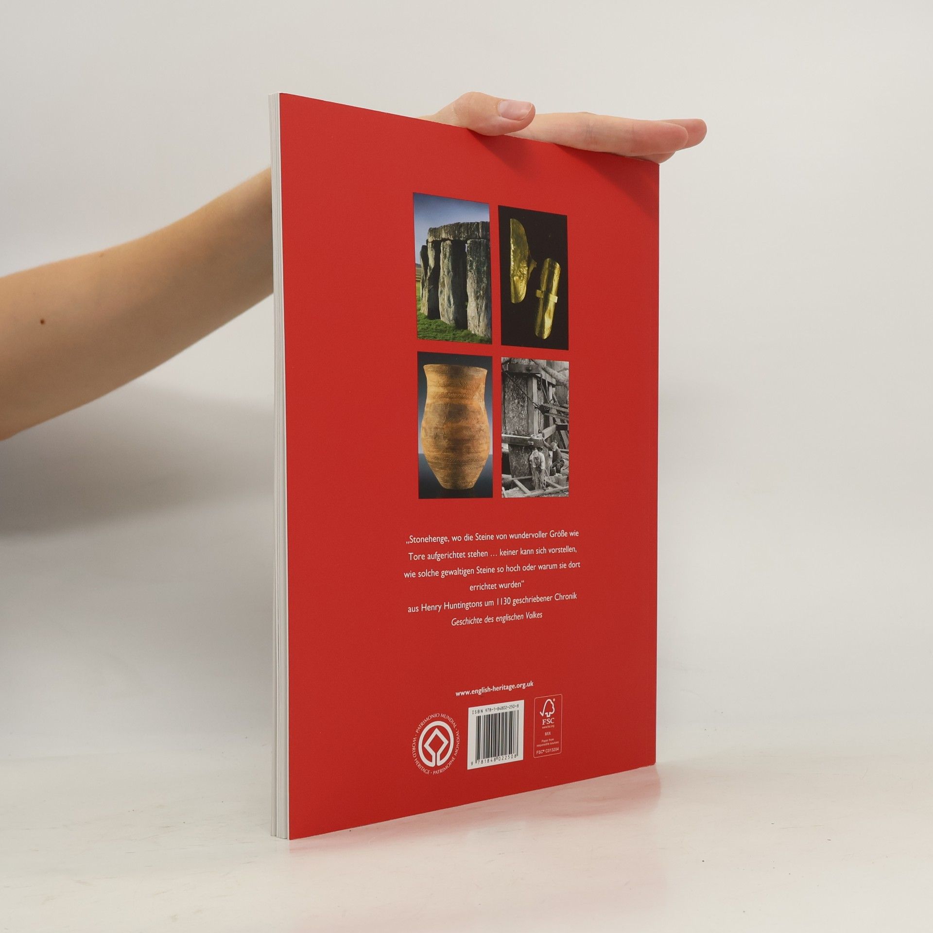 Julian C. Richards Stonehenge (English Heritage Red Guides)