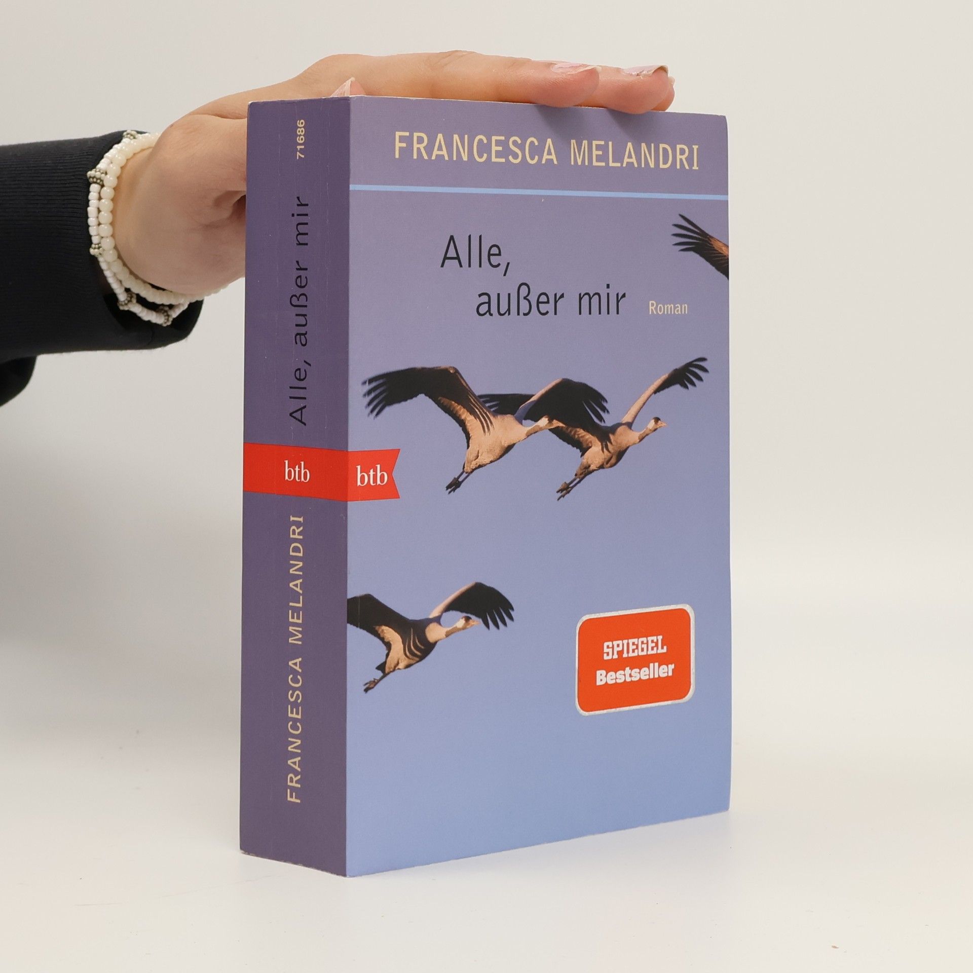 Francesca Melandri Alle, außer mir