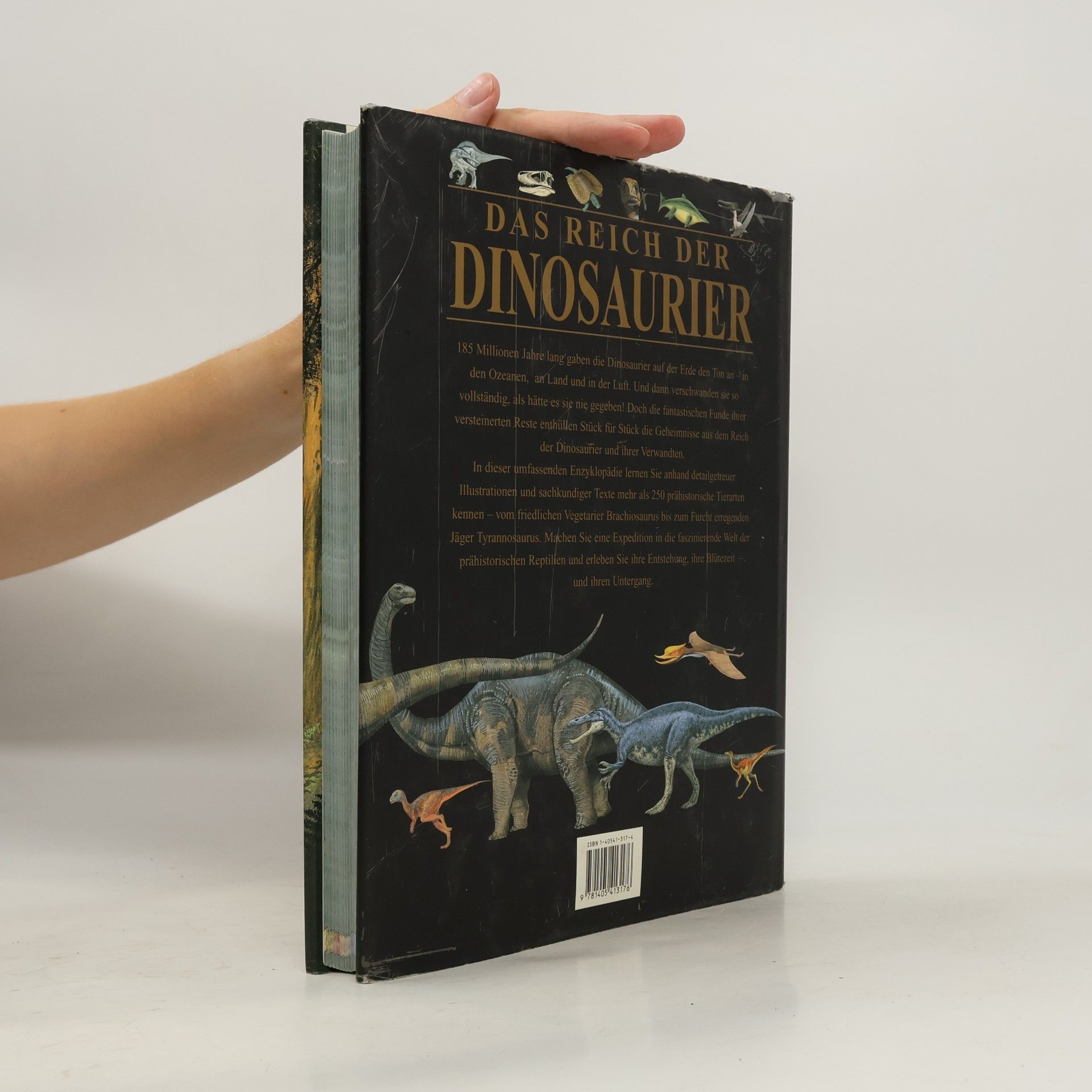 John Malam Das Reich der Dinosaurier