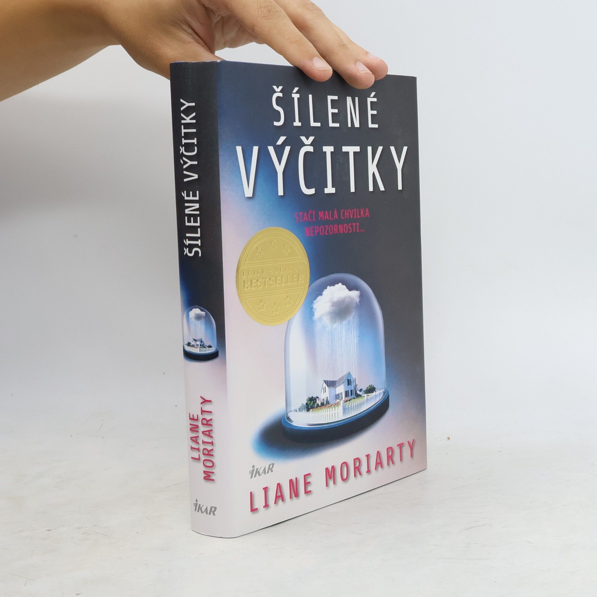Liane Moriarty Šílené výčitky