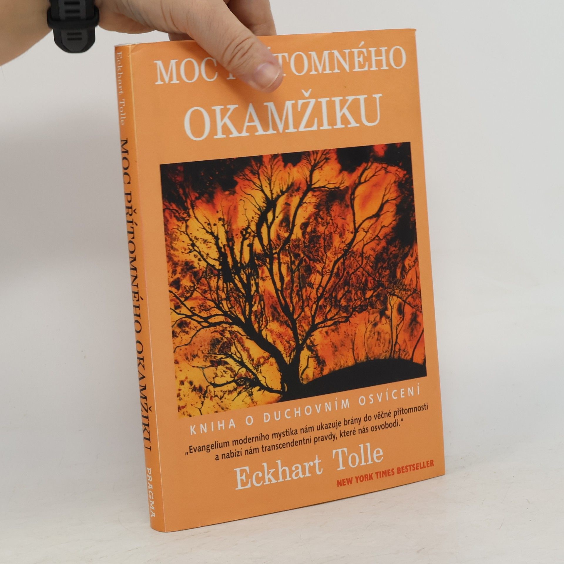 Eckhart Tolle Moc přítomného okamžiku