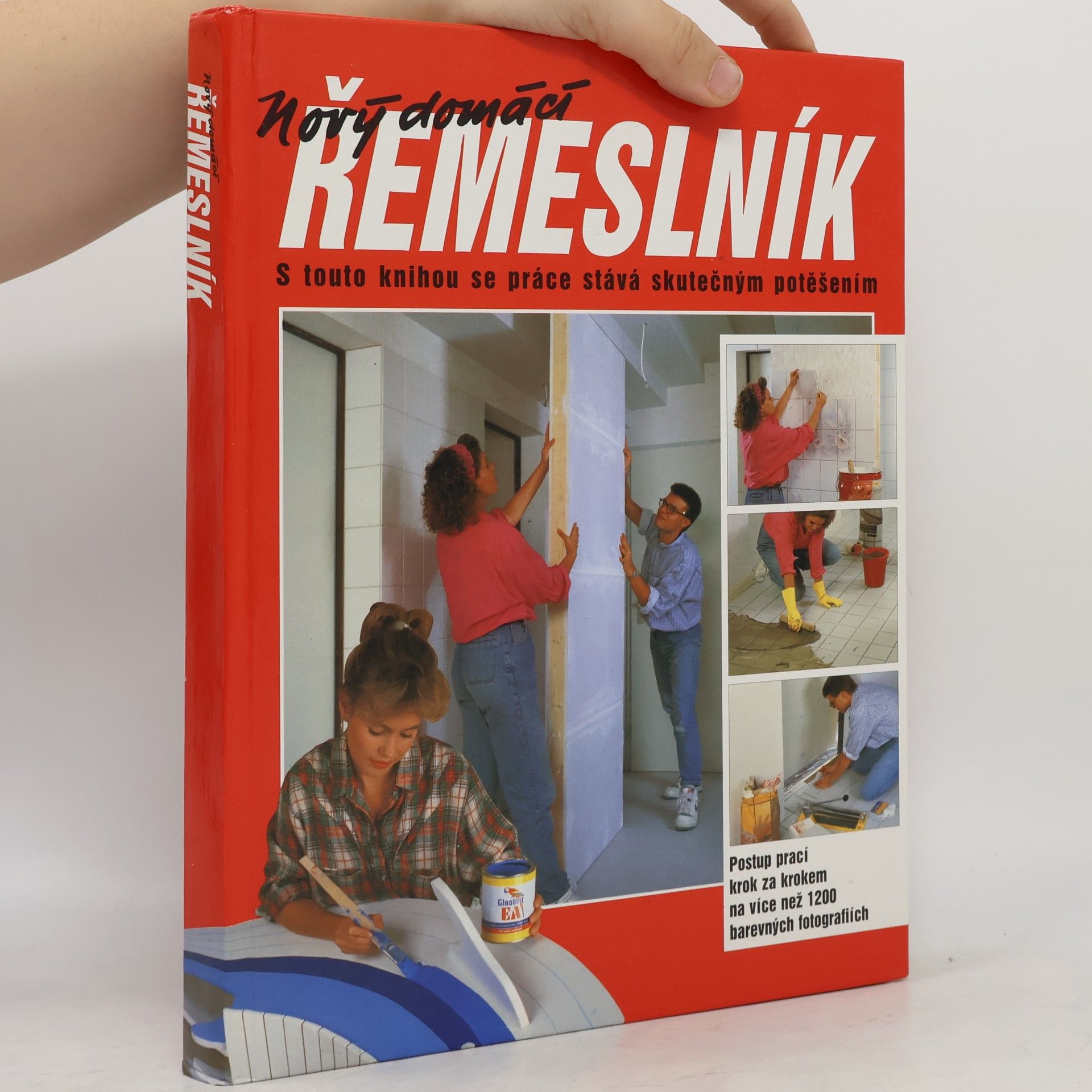 Dieter Rex Nový domácí řemeslník