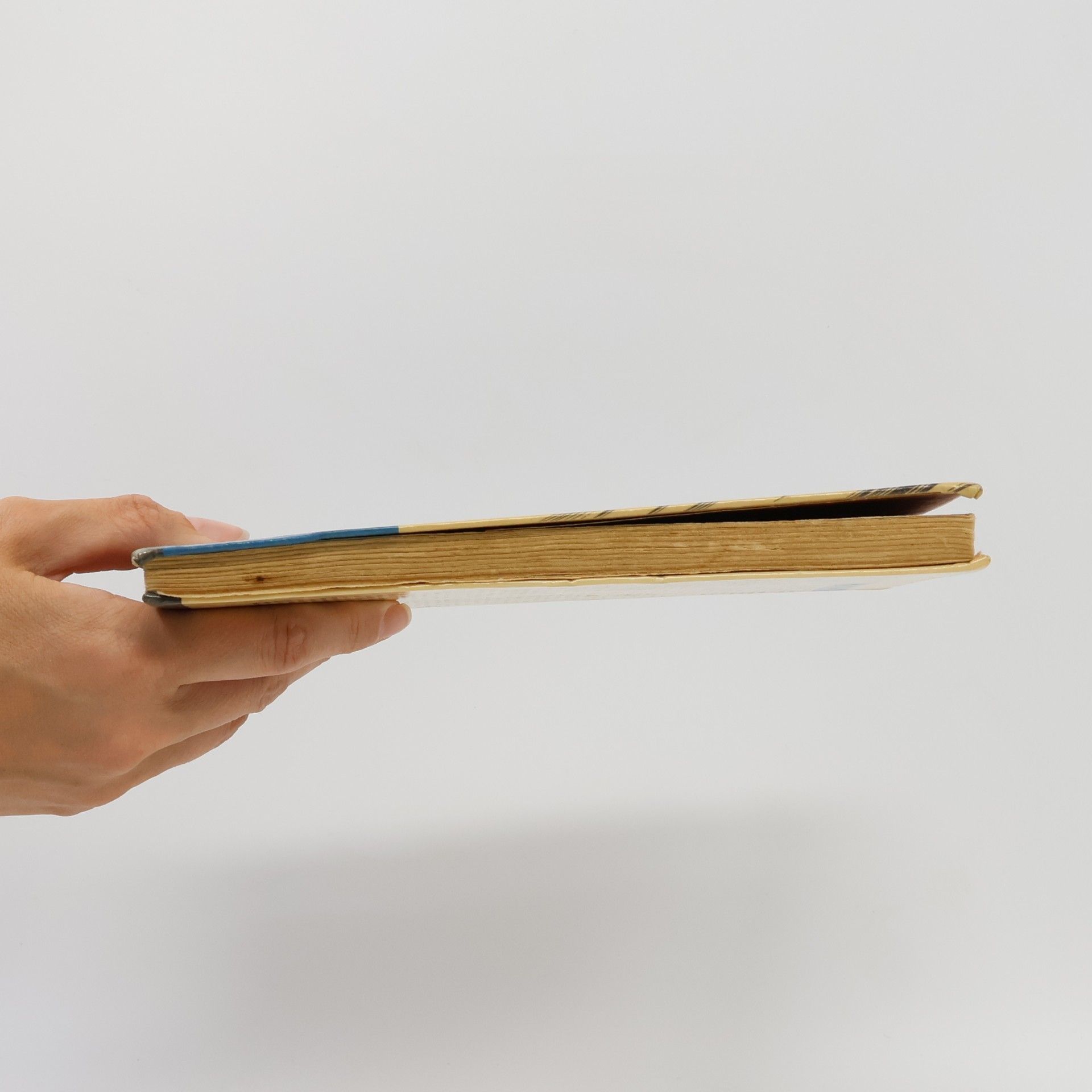 Ann Rutgers van der Loeff Basenauová Laviny nad vsí