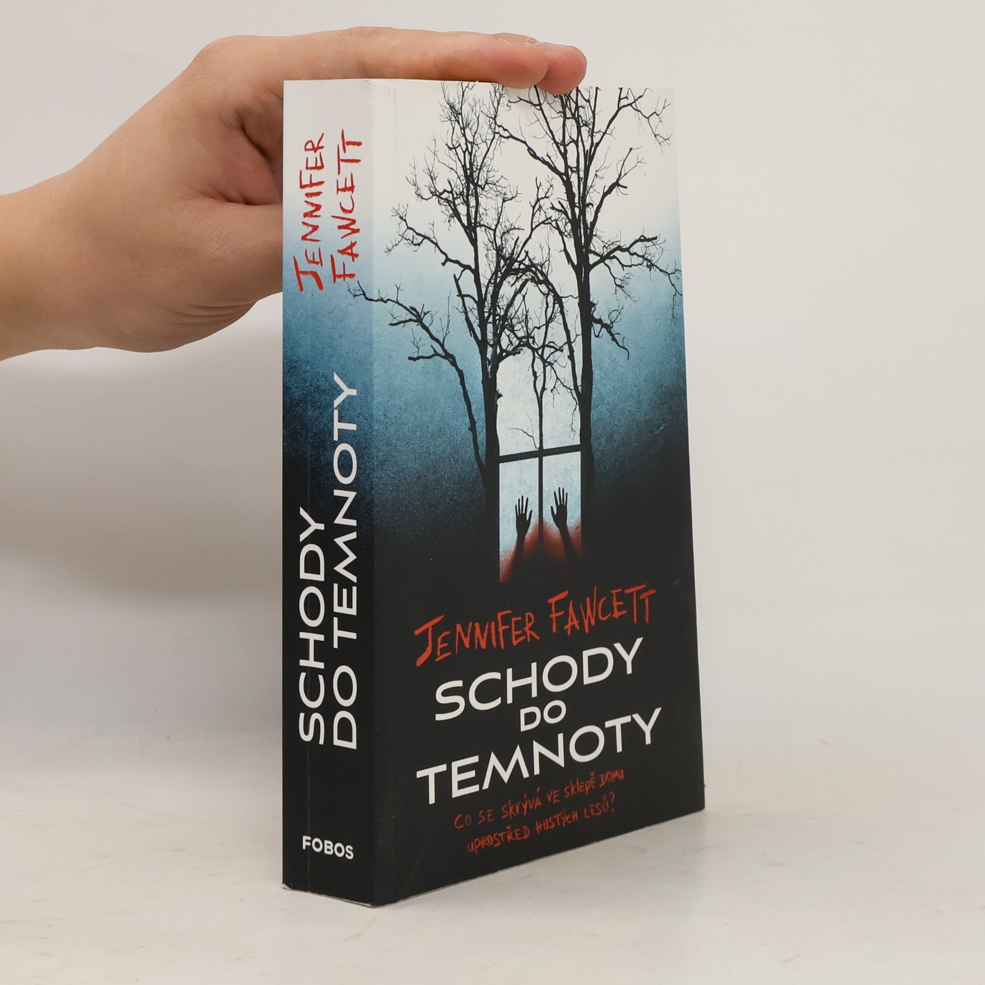 Jennifer Fawcett Schody do temnoty