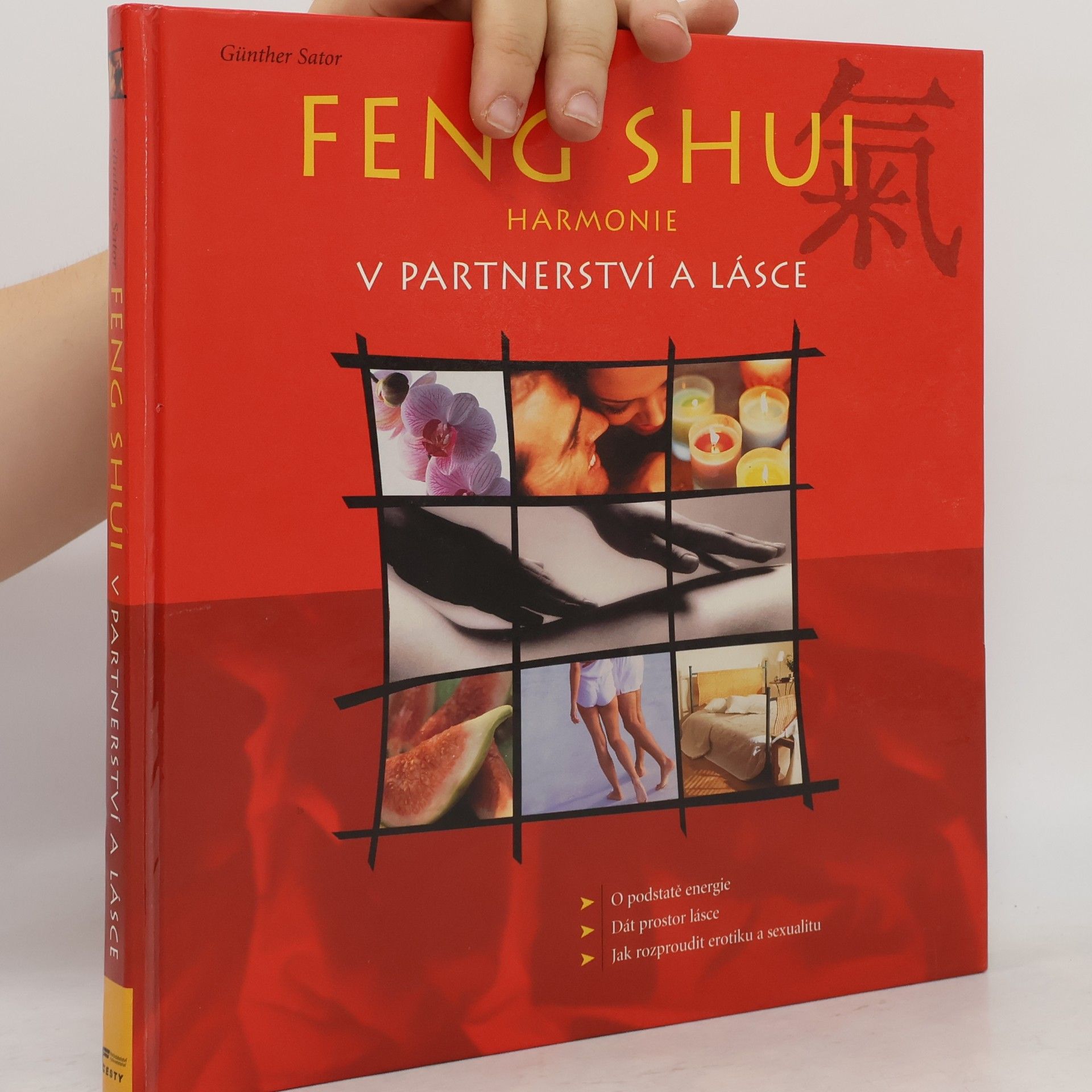 Günther Sator Feng shui. Harmonie v partnerství a lásce