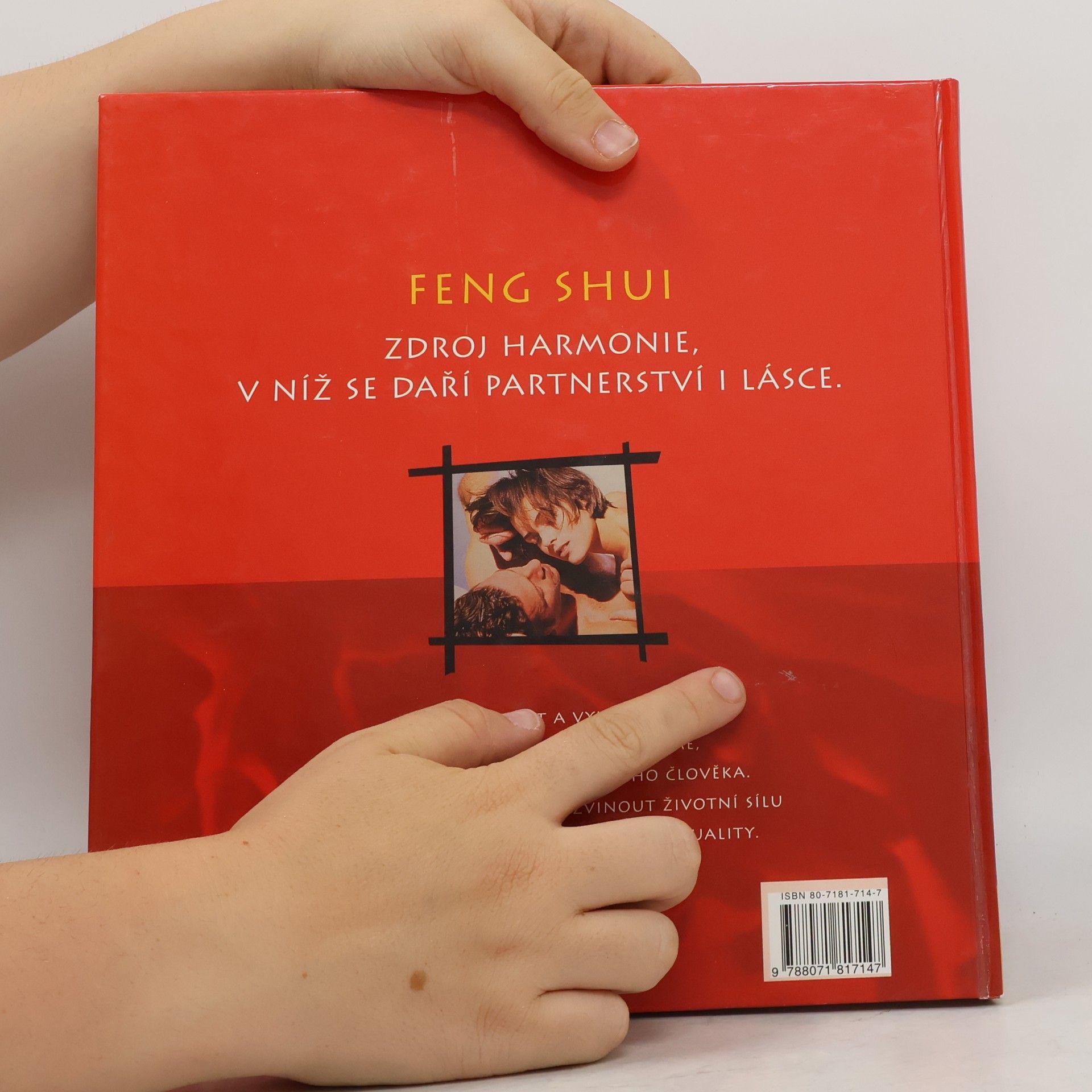 Günther Sator Feng shui. Harmonie v partnerství a lásce