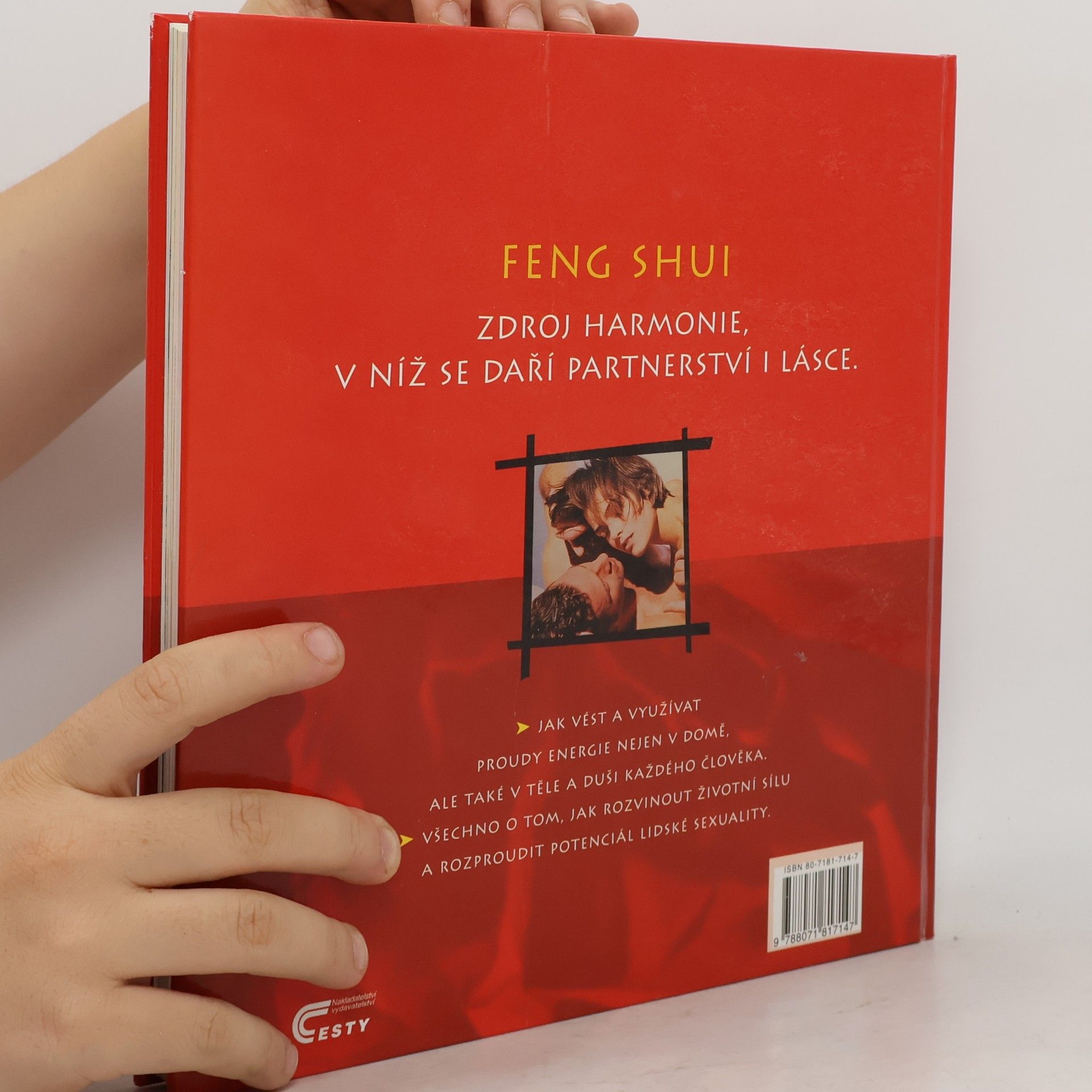 Günther Sator Feng shui. Harmonie v partnerství a lásce