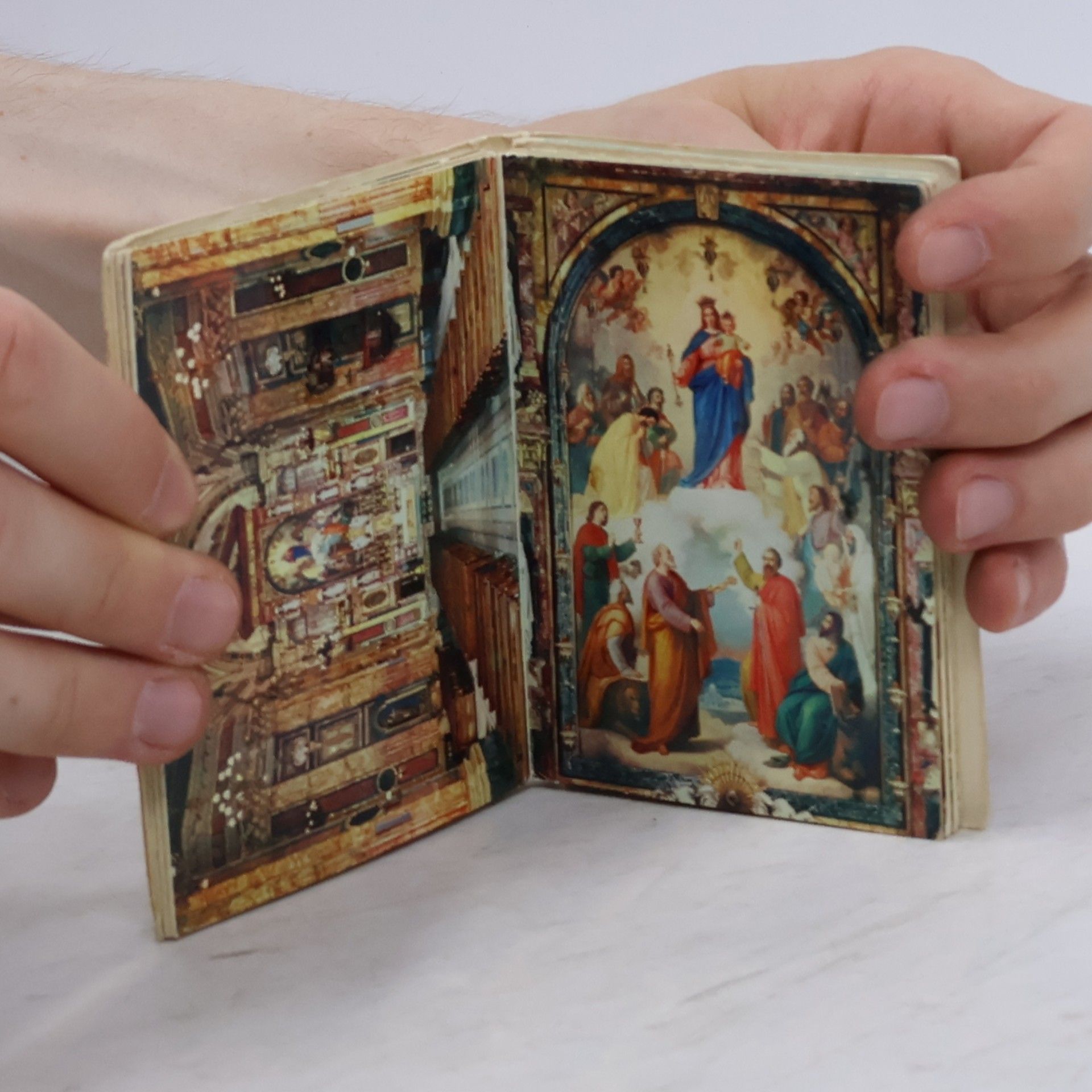 Kolektiv autorů Santuario Basilica Maria Ausiliatrice