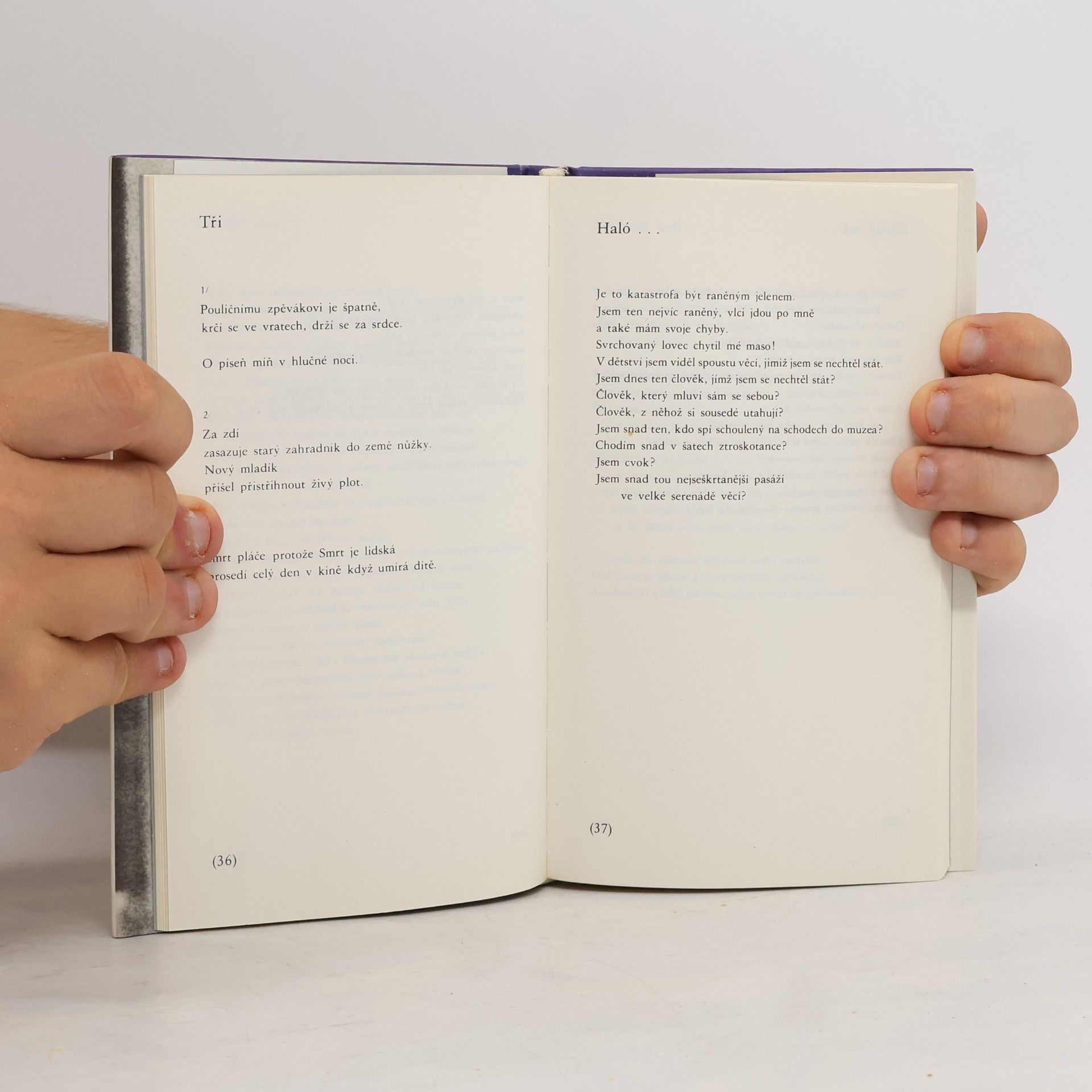 Gregory Corso Mokré moře