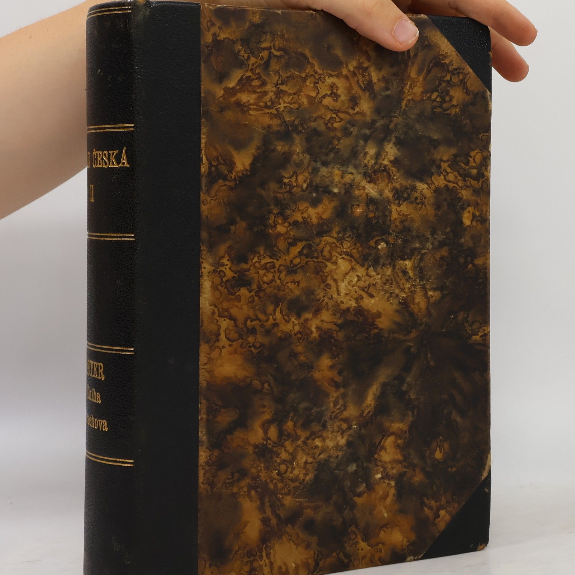 Autorenkollektiv Bible Česká I. Starý zákon. Svazek II. Ester - Kniha Sirachovcova