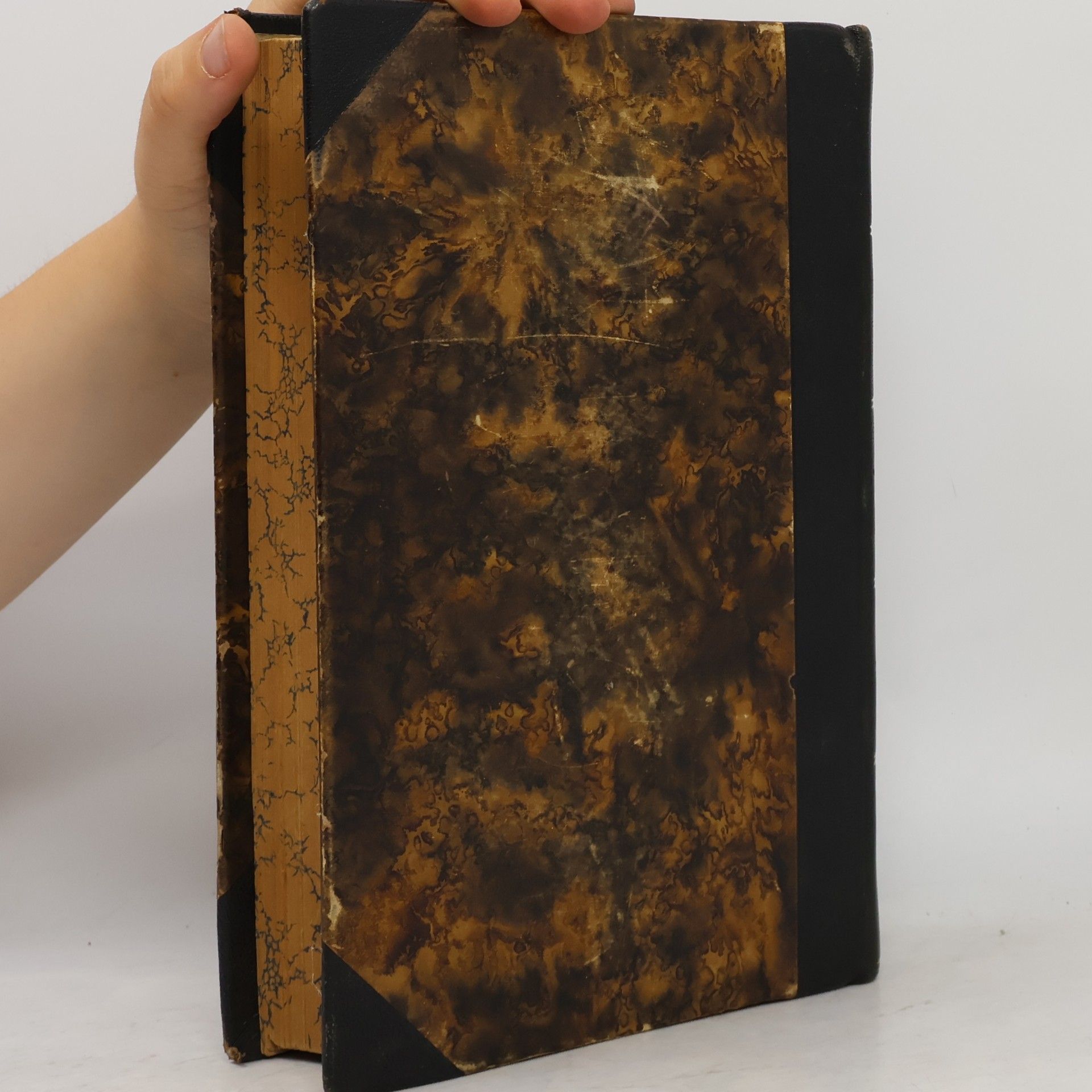 AA.VV. Bible Česká I. Starý zákon. Svazek II. Ester - Kniha Sirachovcova
