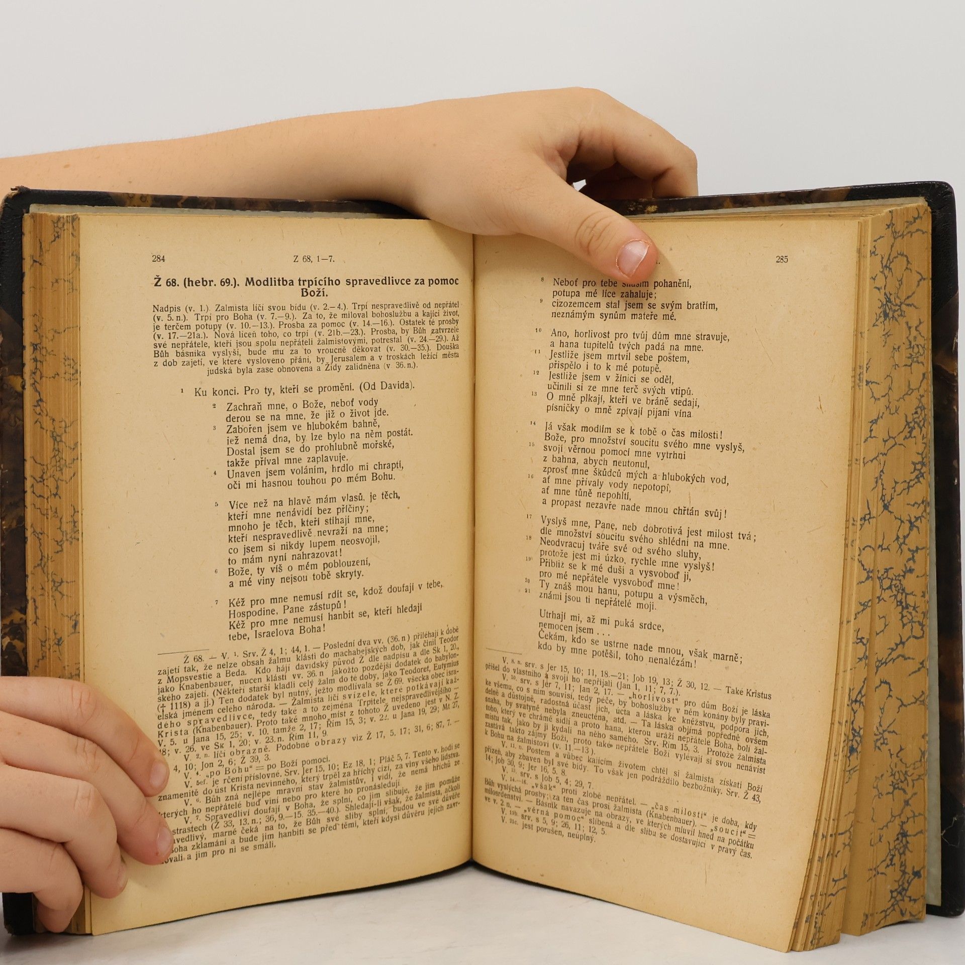 AA.VV. Bible Česká I. Starý zákon. Svazek II. Ester - Kniha Sirachovcova