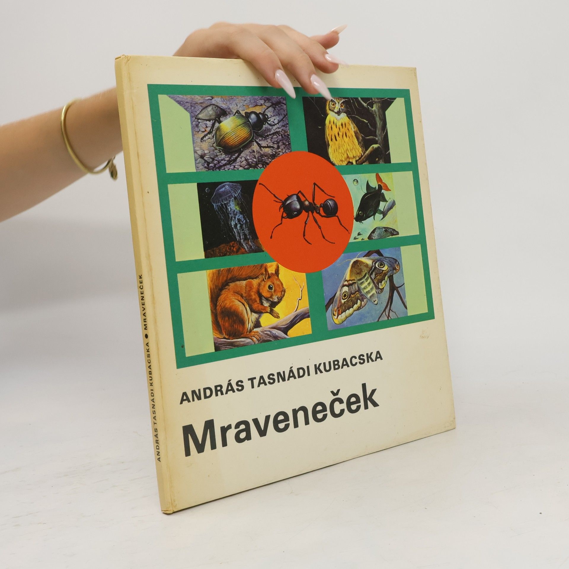 András Tasnádi Kubacska Mraveneček