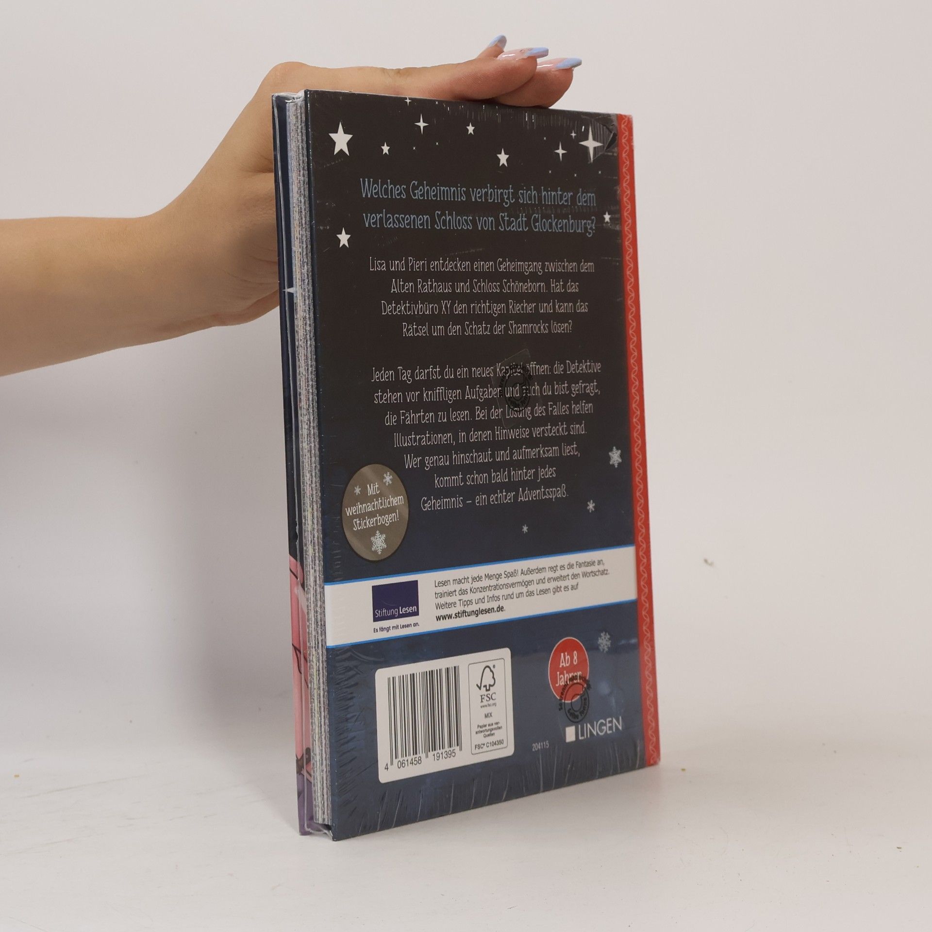 Autorenkollektiv Adventskalenderbuch. Das verlassene Schloss