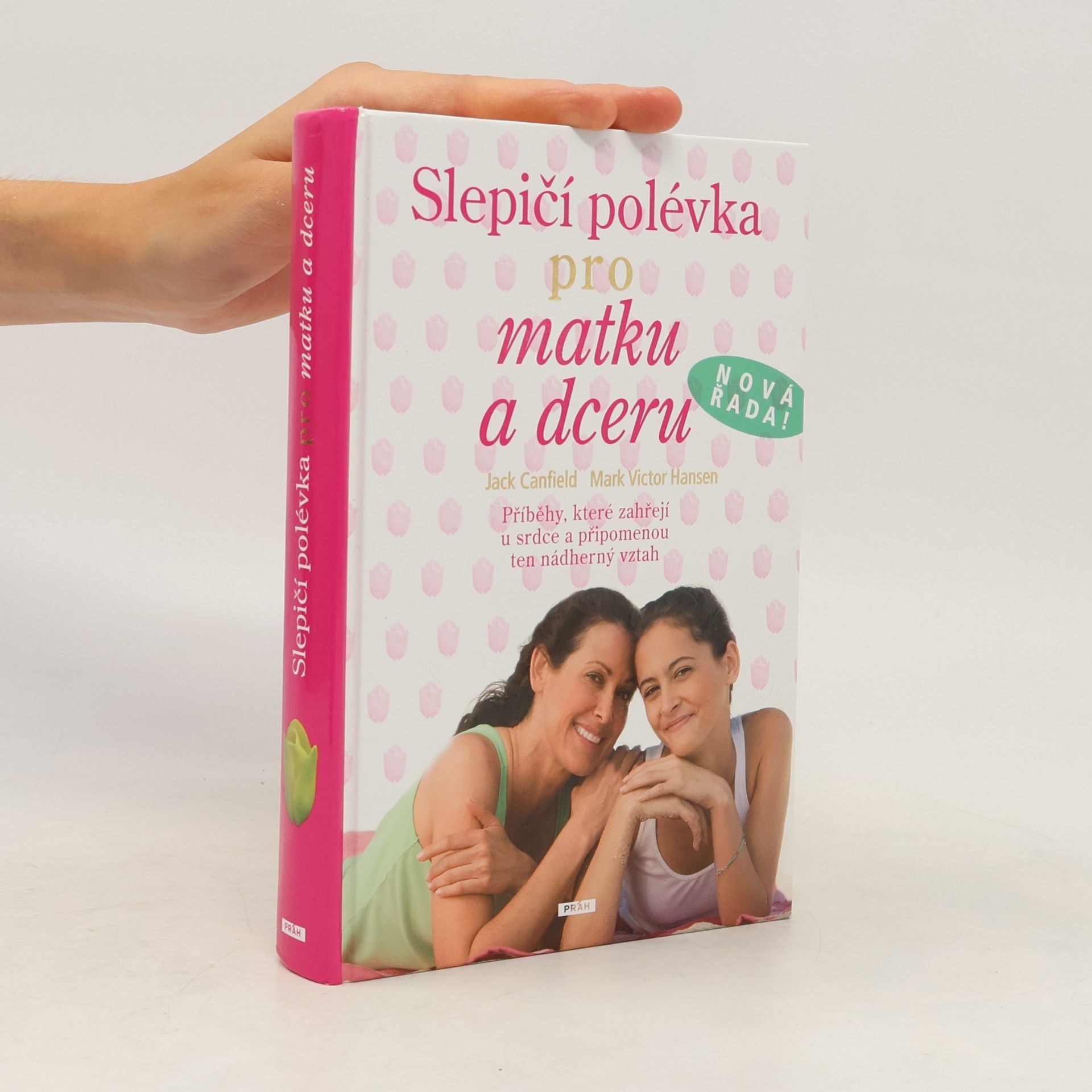 Mark Victor Hansen Slepičí polévka pro matku a dceru