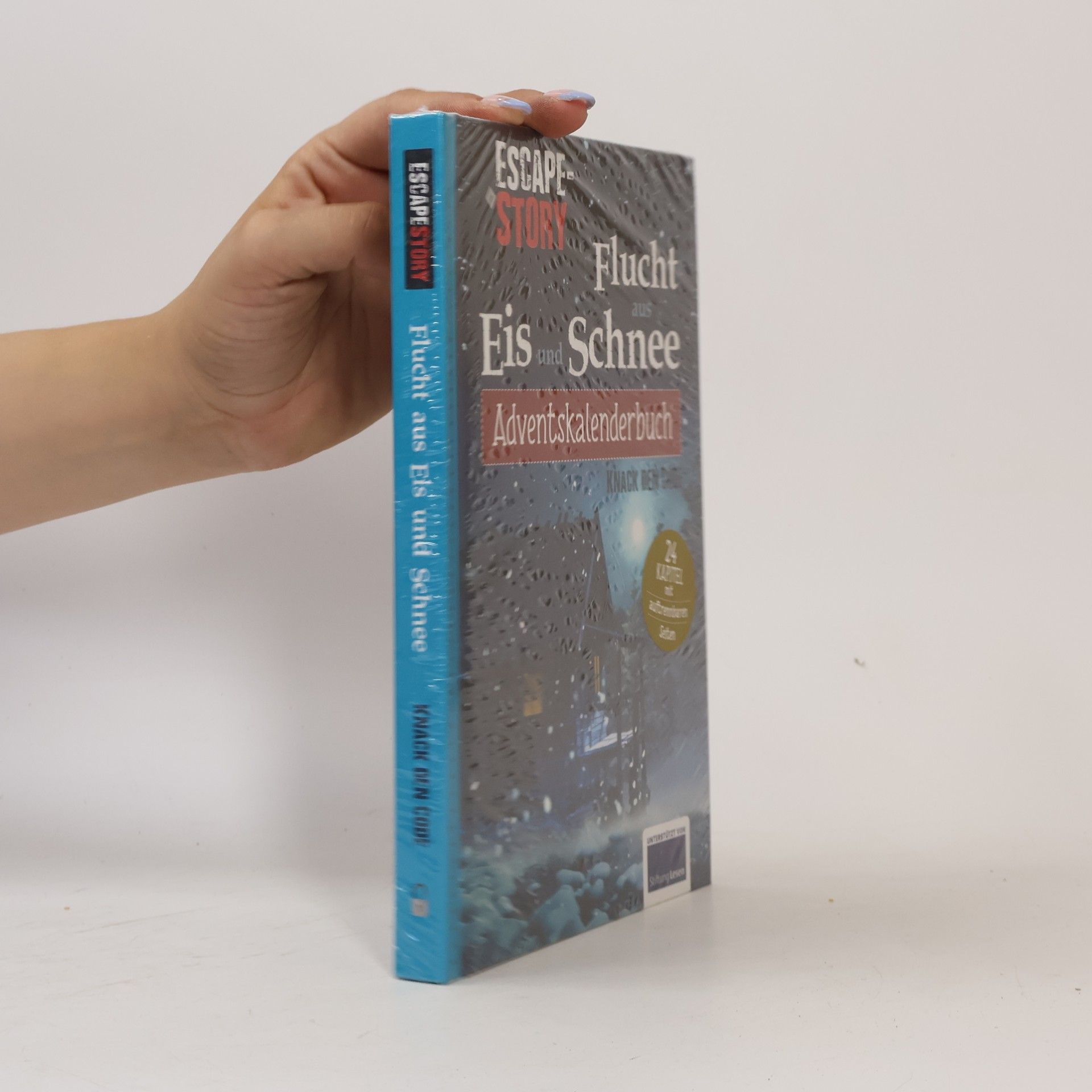 Autorenkollektiv Adventskalenderbuch Escape Story Flucht aus Eis und Schnee