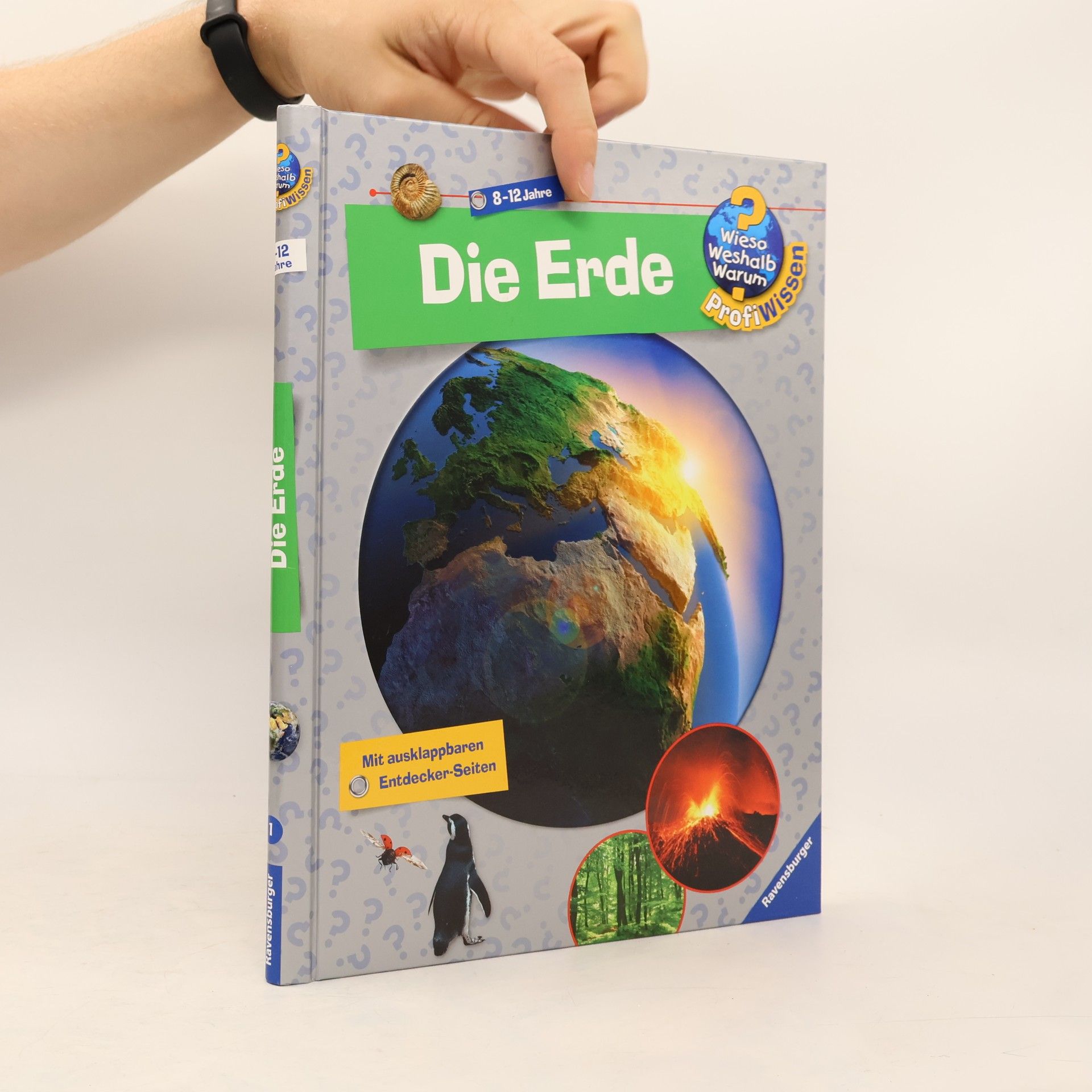 Andrea Erne Die Erde