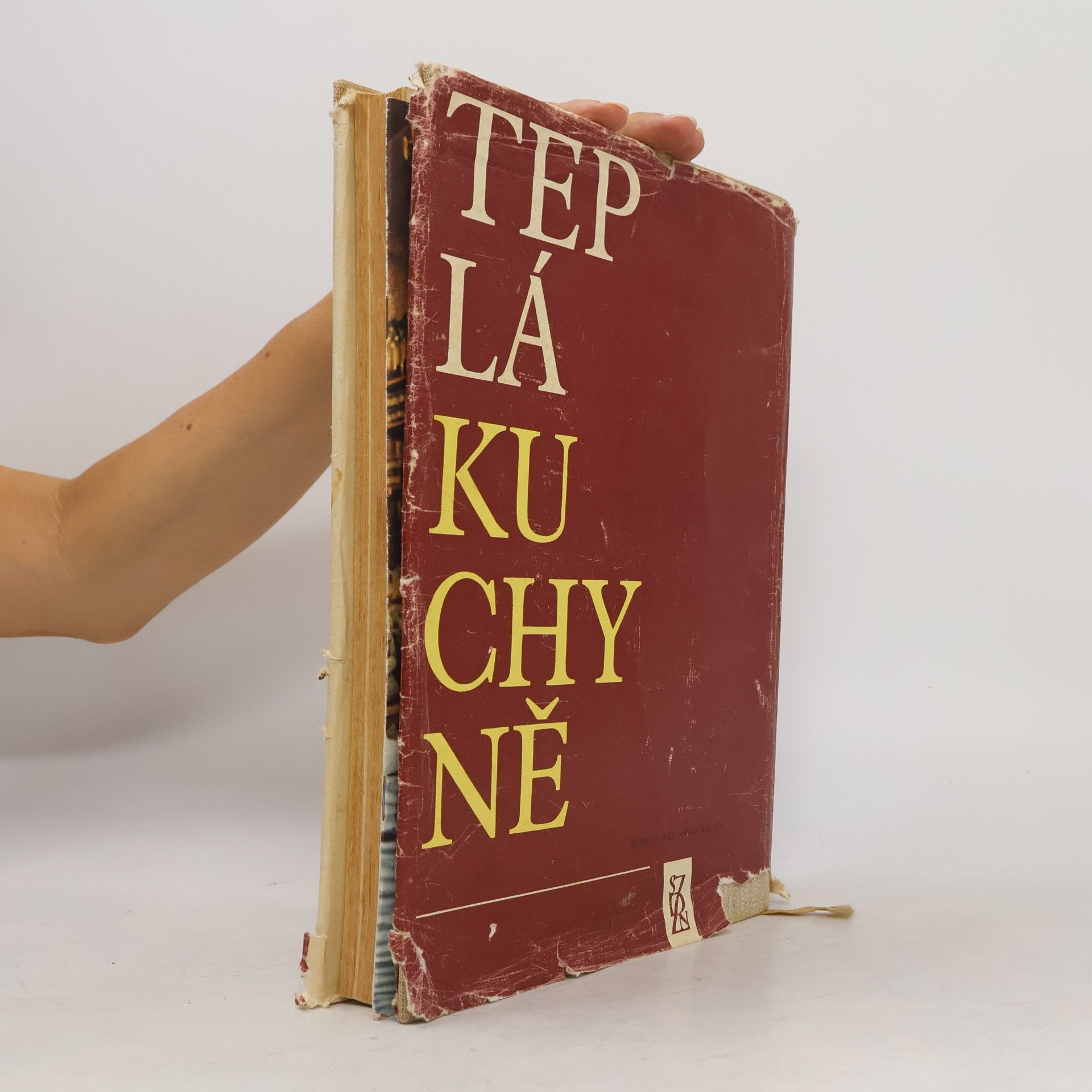 Vilém Vrabec Teplá kuchyně I.
