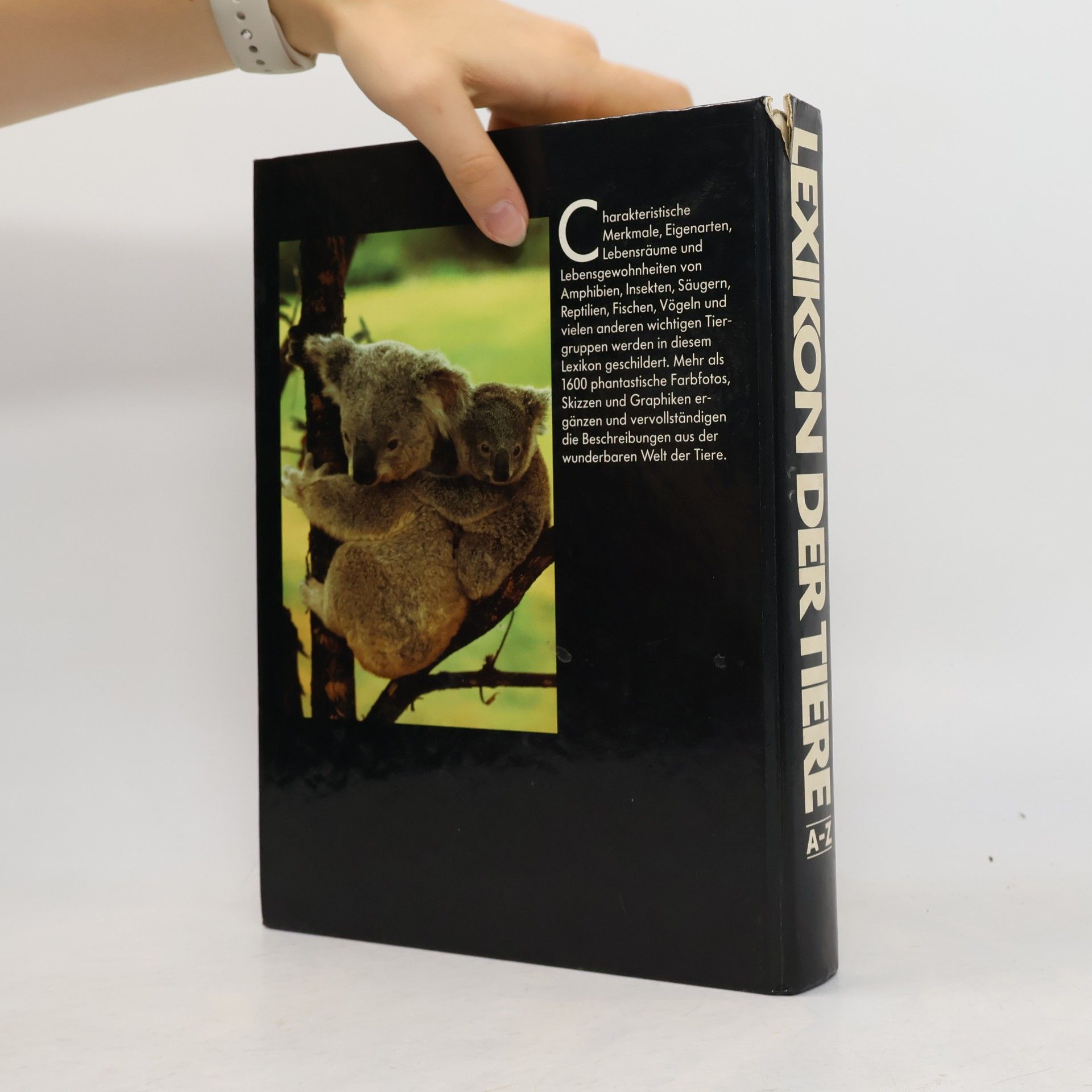 Collectif d'auteurs Lexikon der Tiere von A-Z