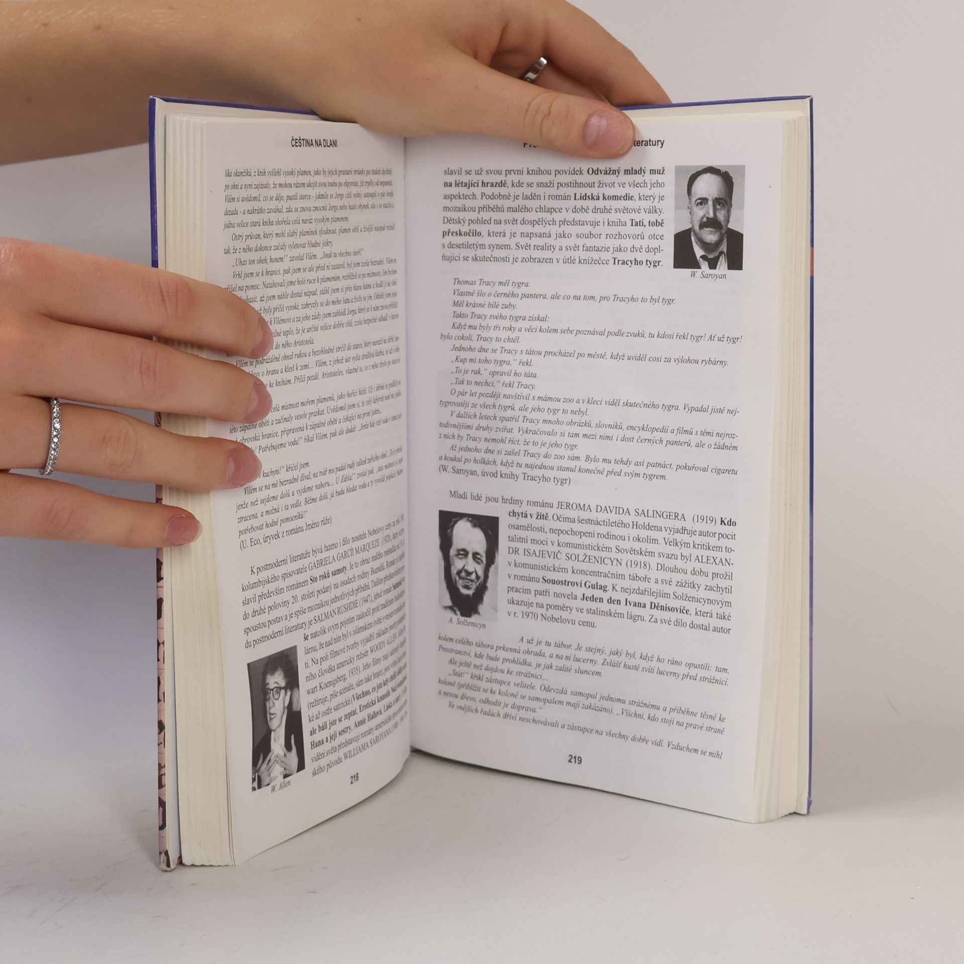 Alois Bauer Čeština na dlani. Přehled světové a české literatury