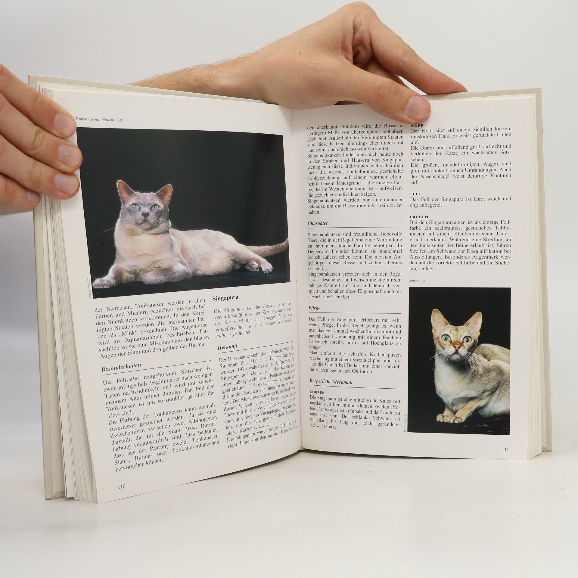 Esther J. J. Verhoef-Verhallen Katzen-Enzyklopädie