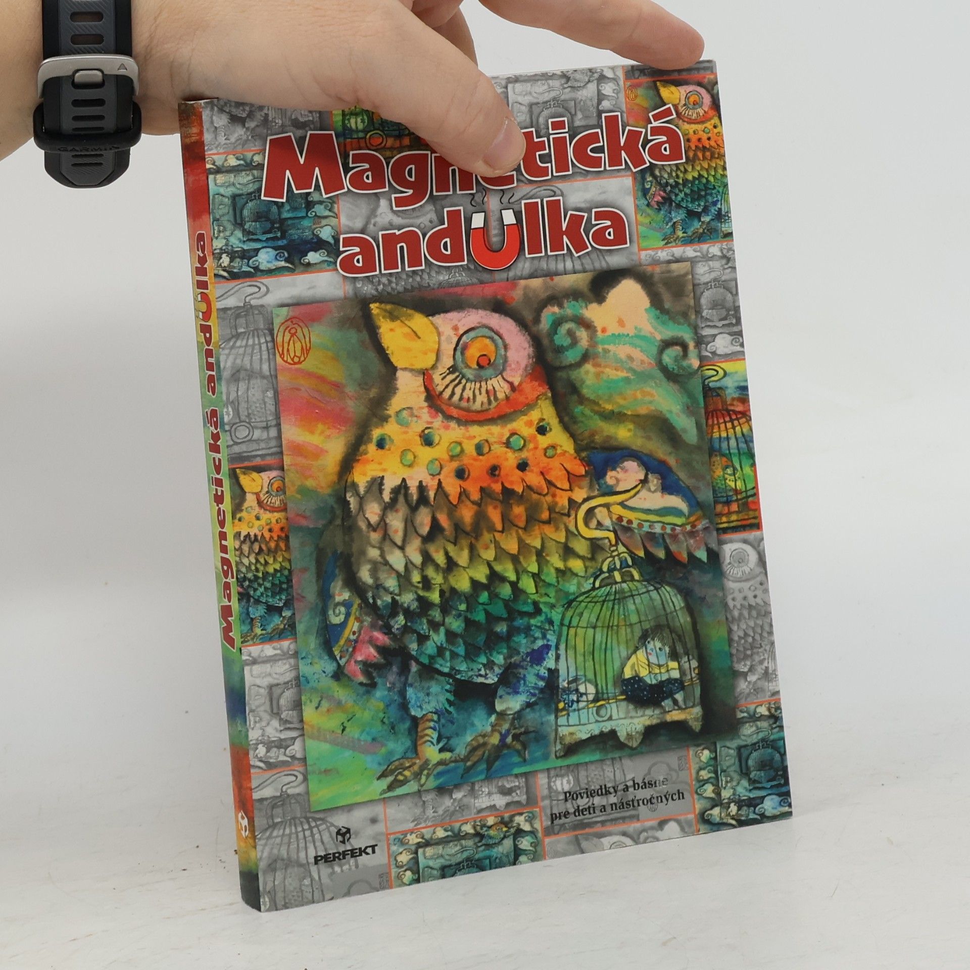 Autorenkollektiv Magnetická andulka