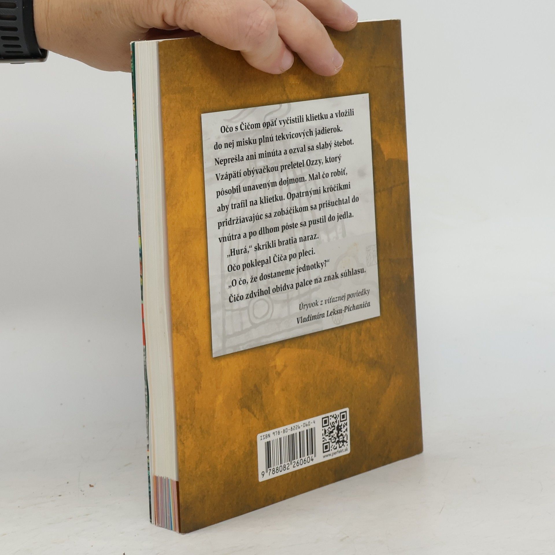 Autorenkollektiv Magnetická andulka