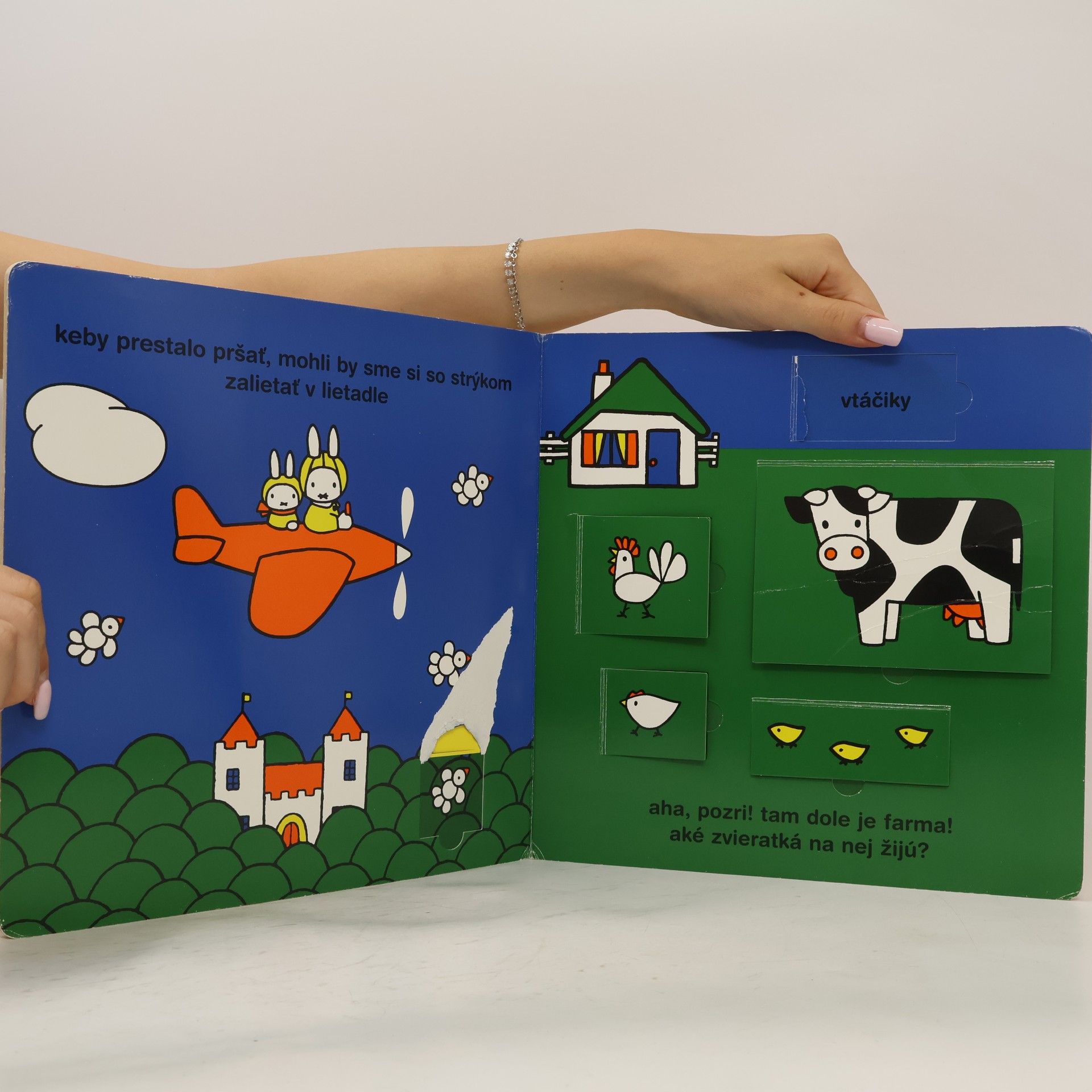 Dick Bruna Volny deň s miffy