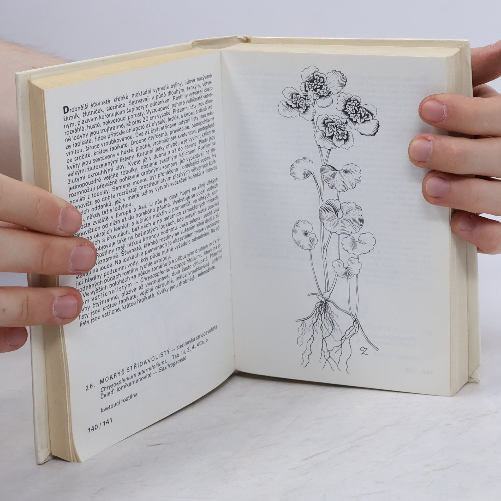 Otakar Zejbrlík Kapesní atlas. Rostliny luk, pastvin, vod a bažin