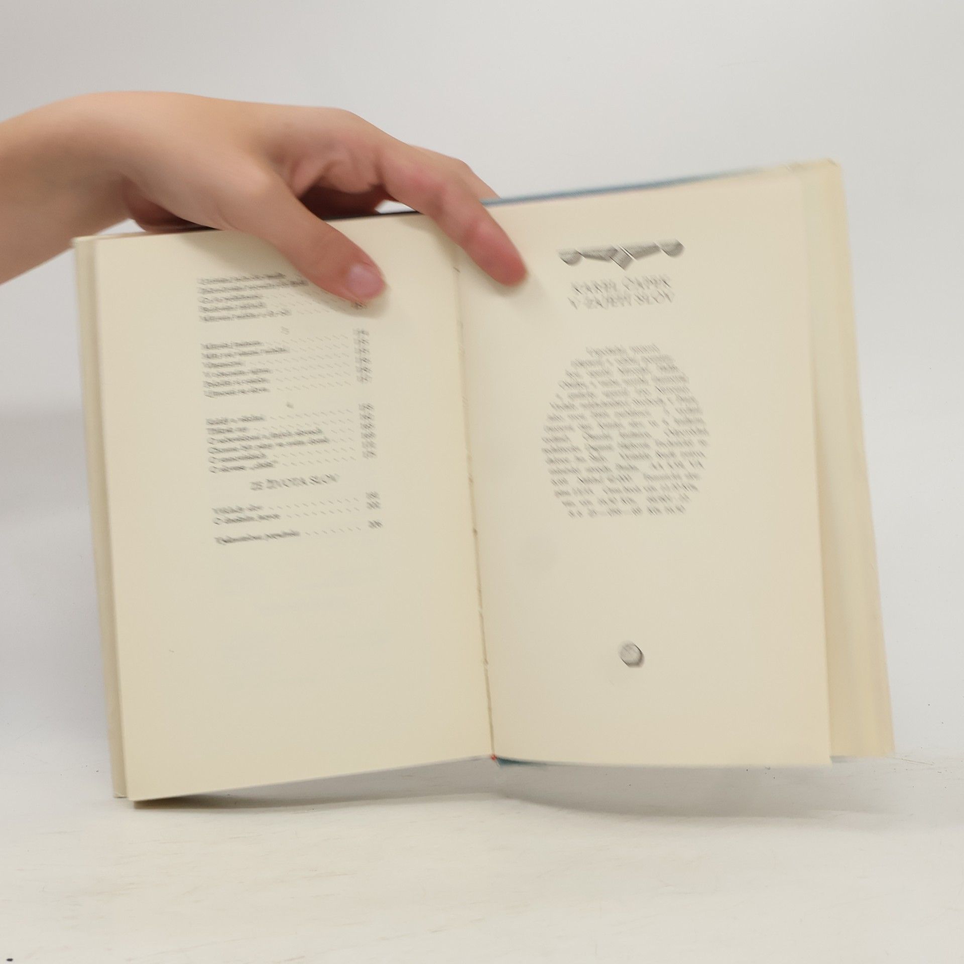 Karel Čapek V zajetí slov