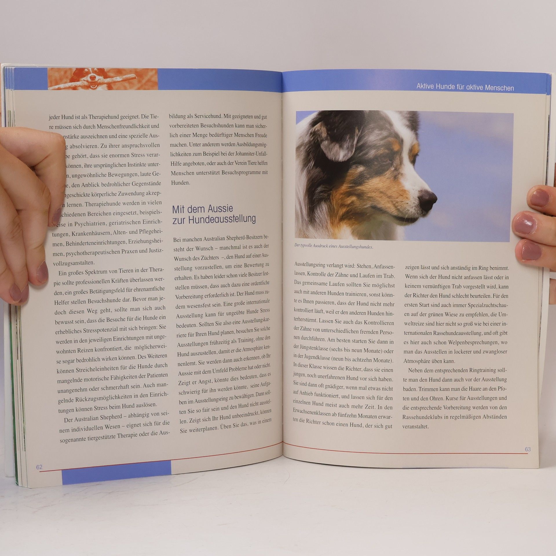 Claudia Bosselmann Australian Shepherd