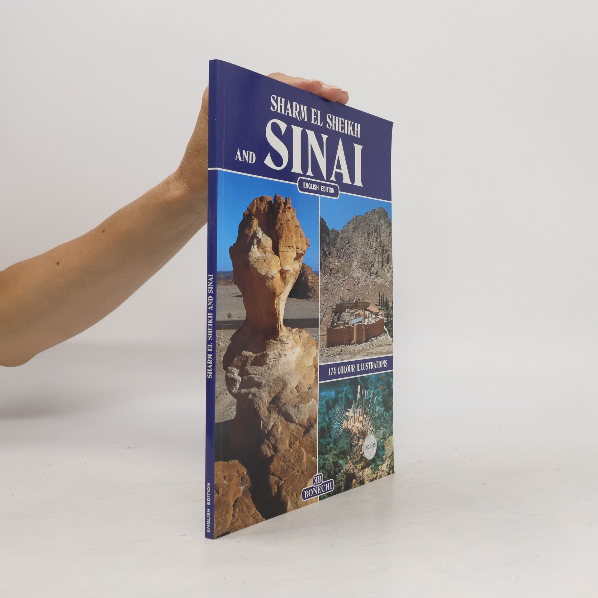 Giovanna Magi The Peninsula of Sinai