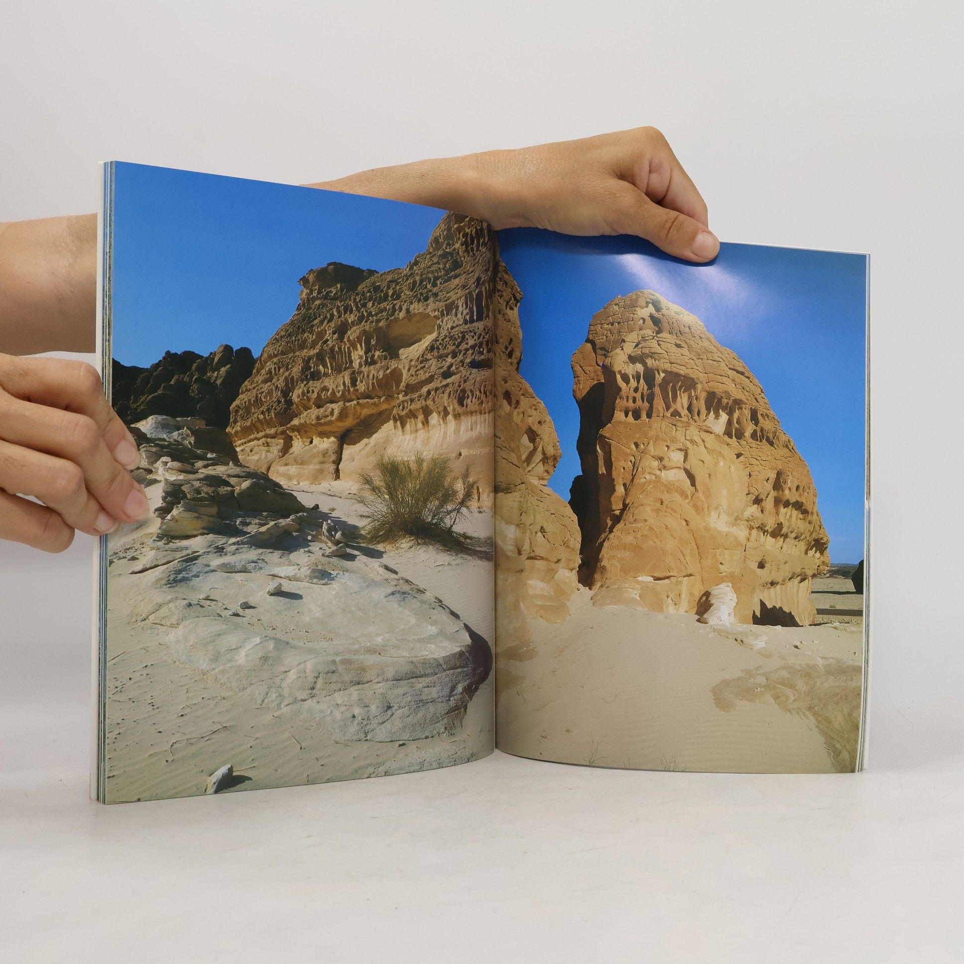 Giovanna Magi The Peninsula of Sinai