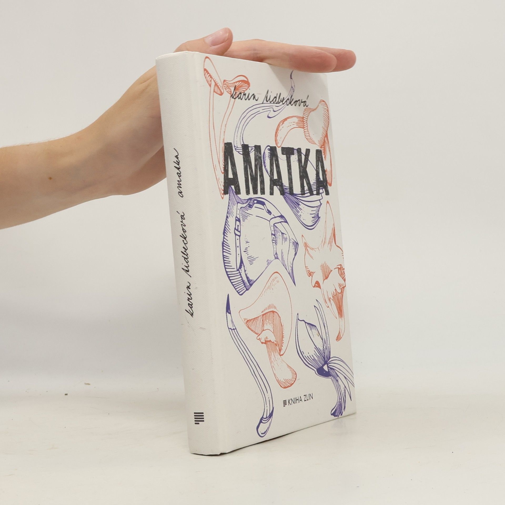 Karin Tidbeck Amatka