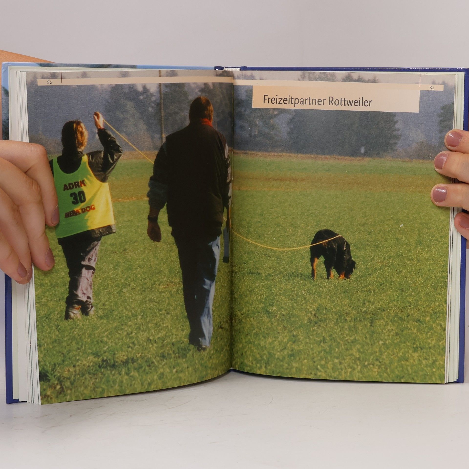 Karl-Josef Drever Rottweiler