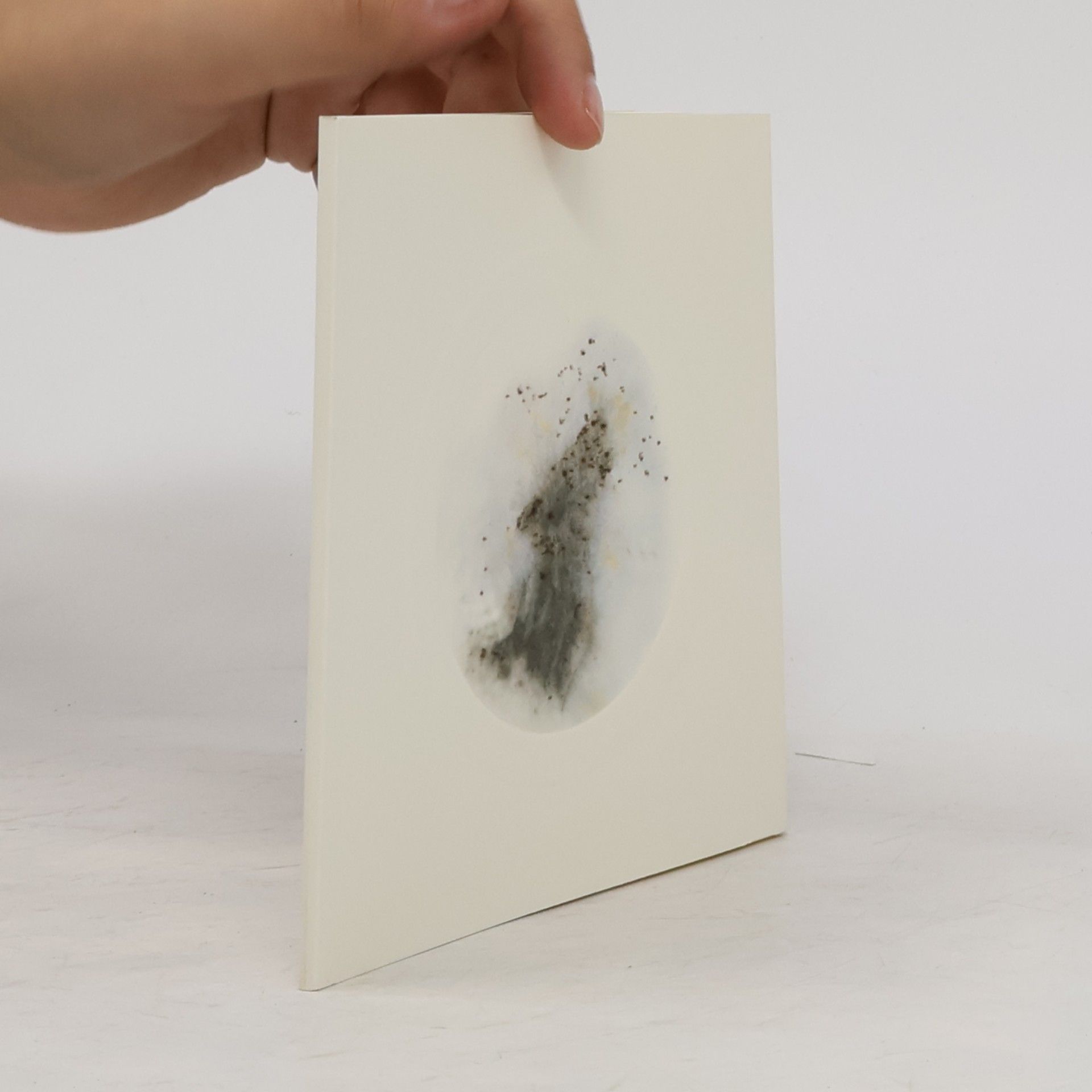 Cai Guo Qiang Foreplay