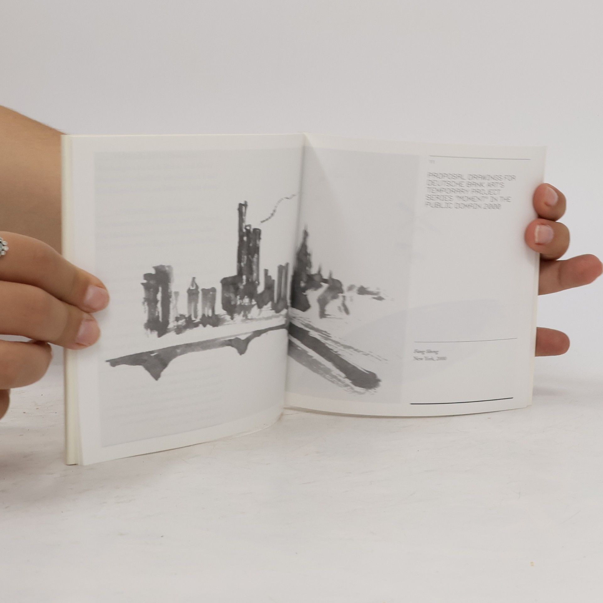 Cai Guo Qiang Foreplay