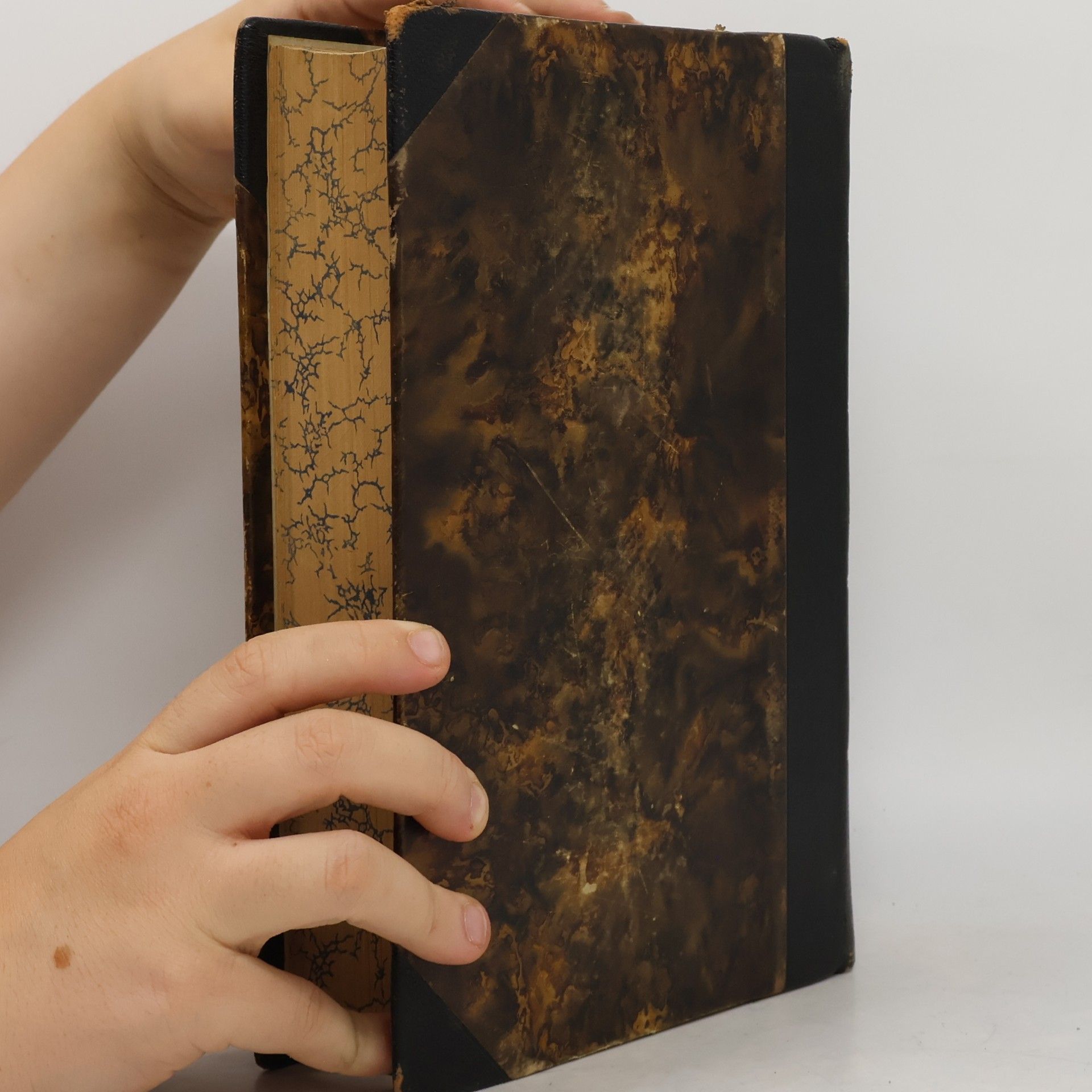 Jan Hejčl Bible česká. Díl prvý