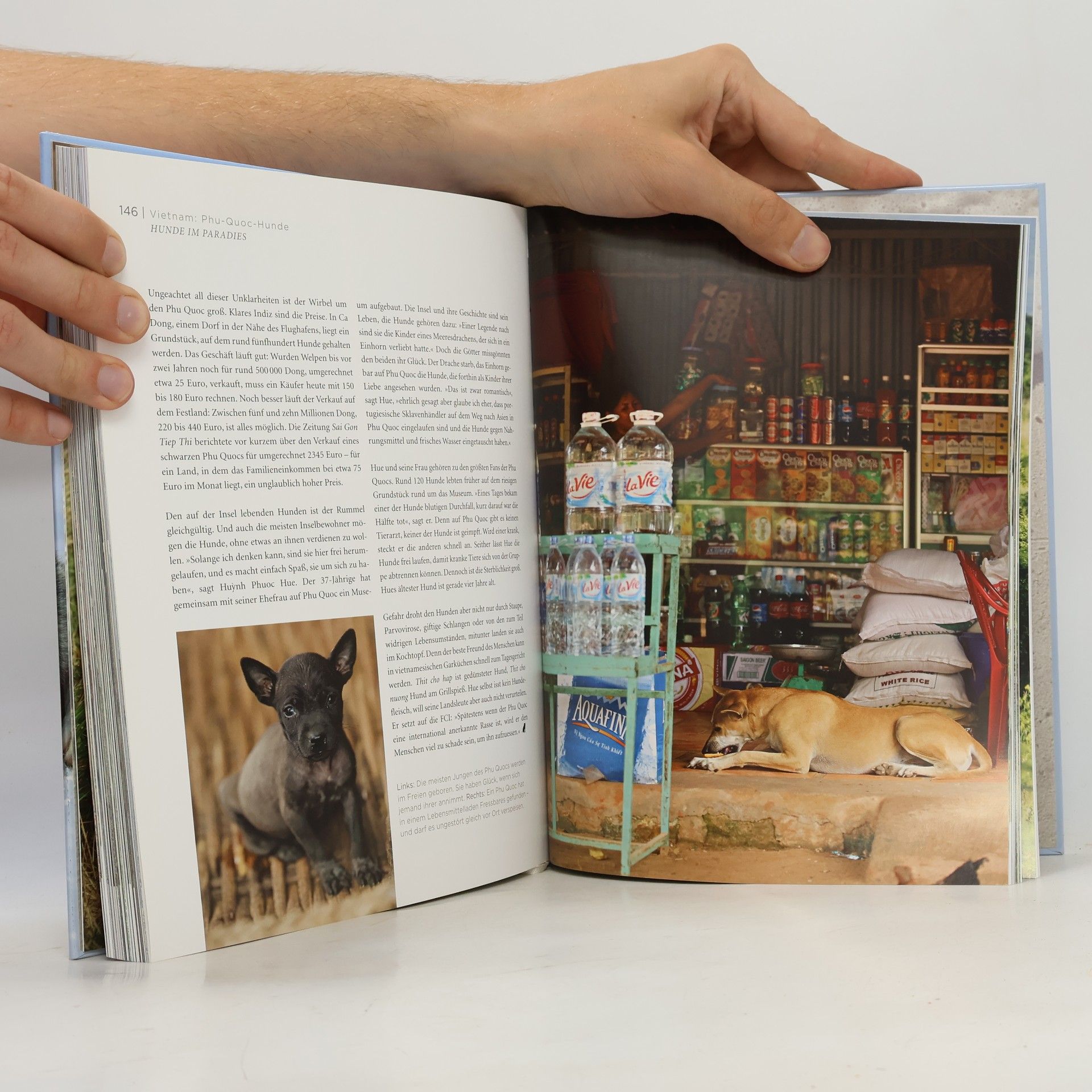 Thomas Niederste-Werbeck DOGS. Hunde der Welt