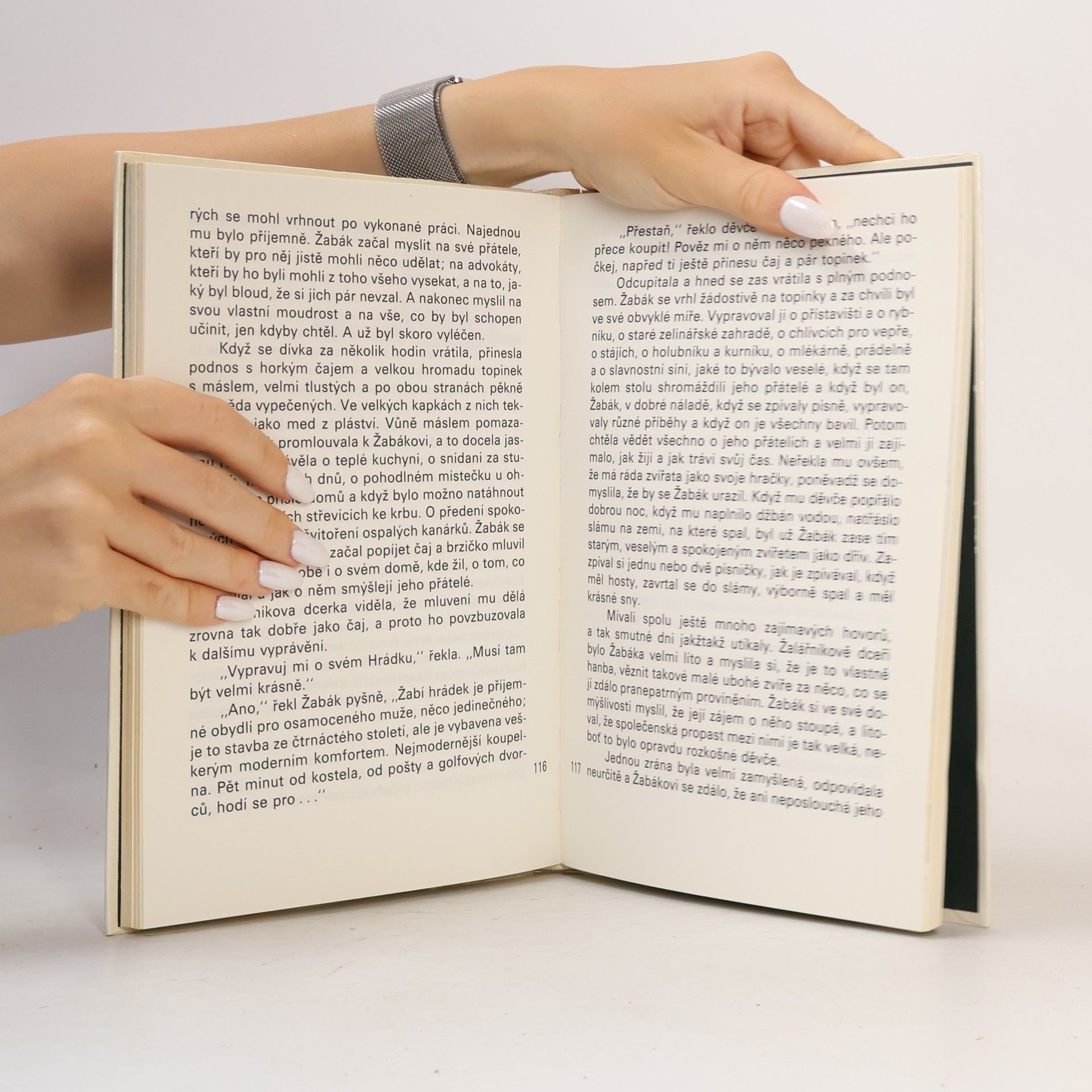 Kenneth Grahame Žabákova dobrodružství