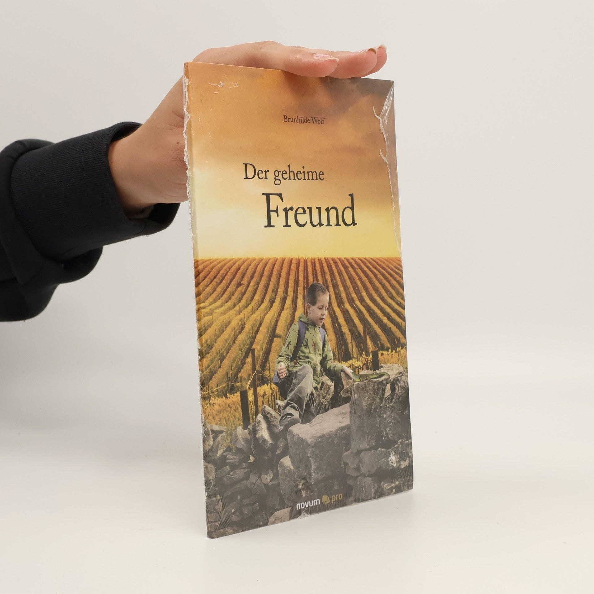 Brunhilde Wolf Der geheime Freund