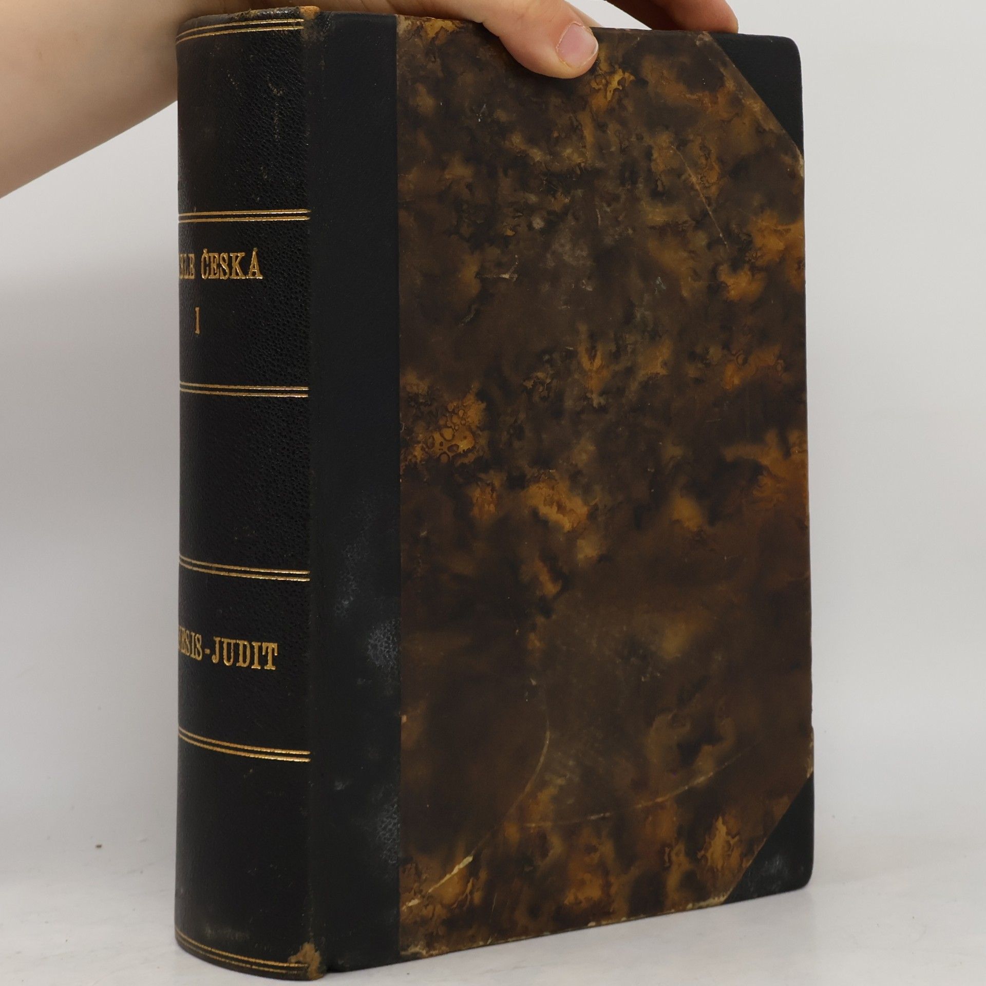 Bible. Starý zákon Bible česká. Díl prvý, Knihy starého zákona. Svazek I., Genesis - Judit