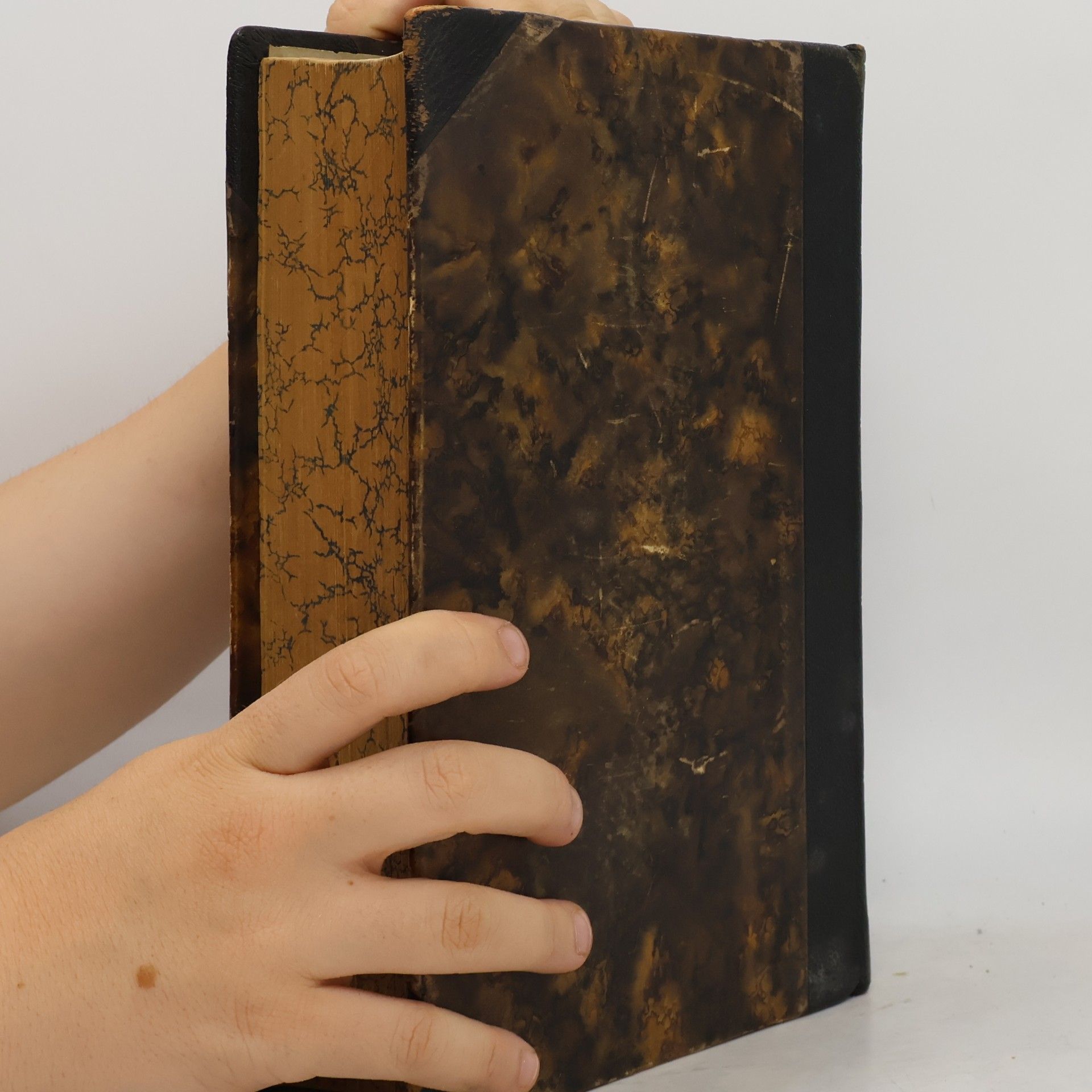 Jan Hejčl Bible. Starý zákon Bible česká. Díl prvý, Knihy starého zákona. Svazek I., Genesis - Judit