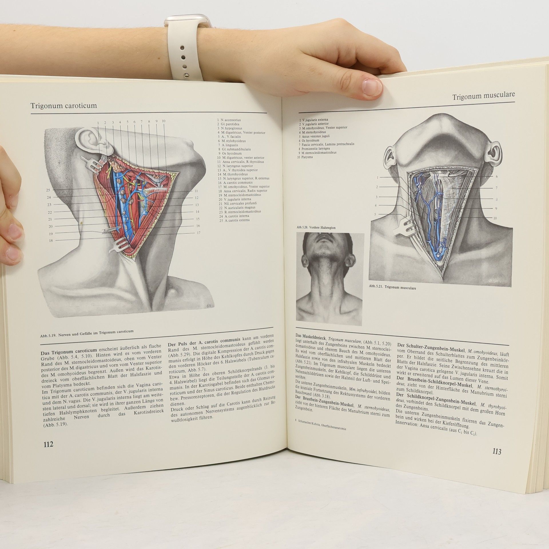 Gert-Horst Schumacher Oberflächen-Anatomie des Menschen