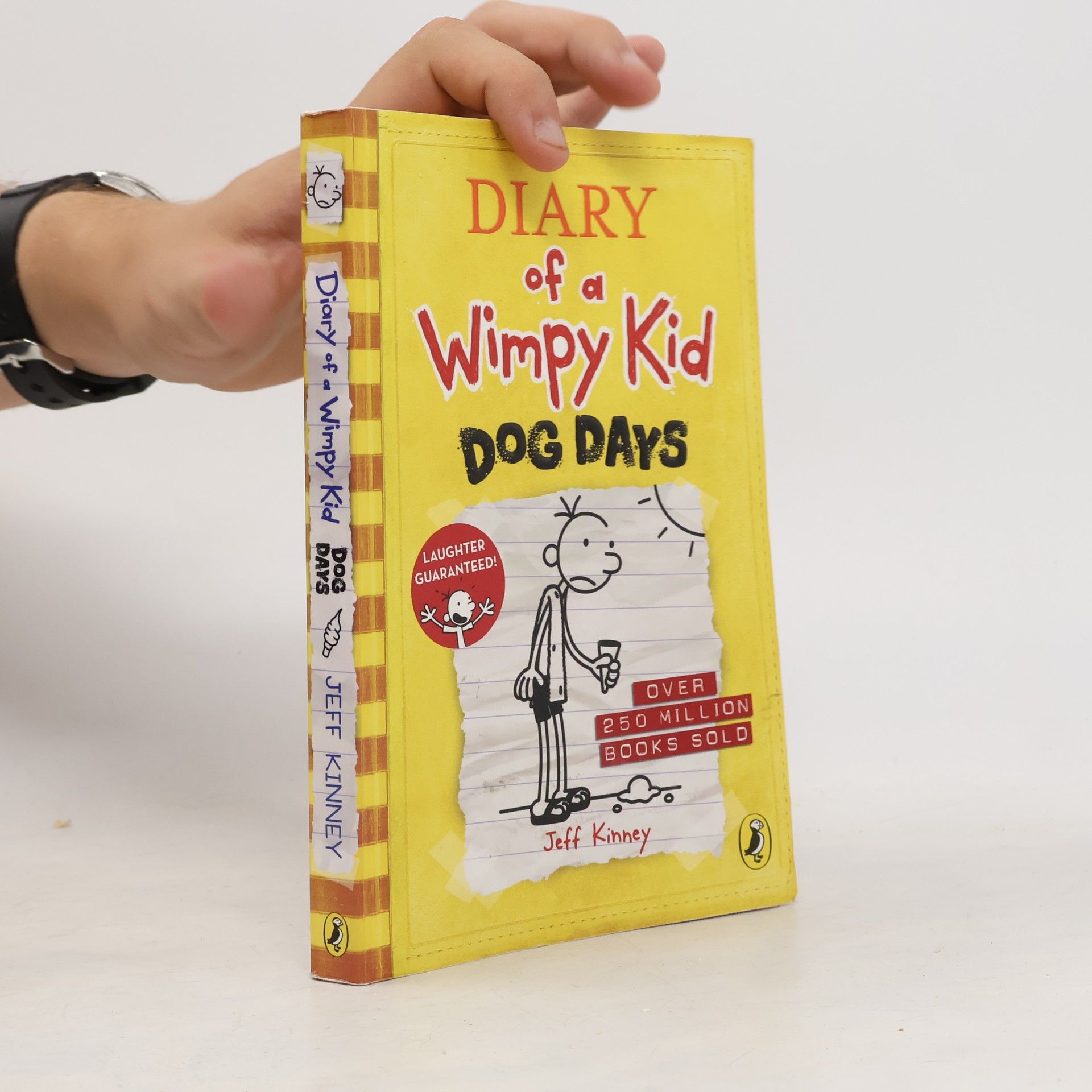Jeff Kinney Diary of a wimpy kid : Dog days
